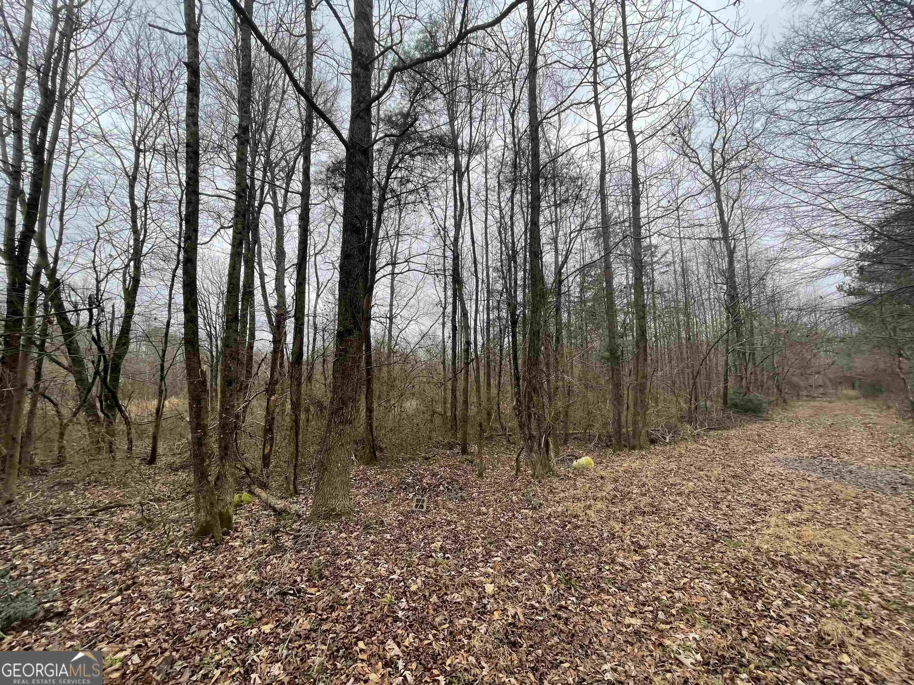 0 Holiness Campground Road