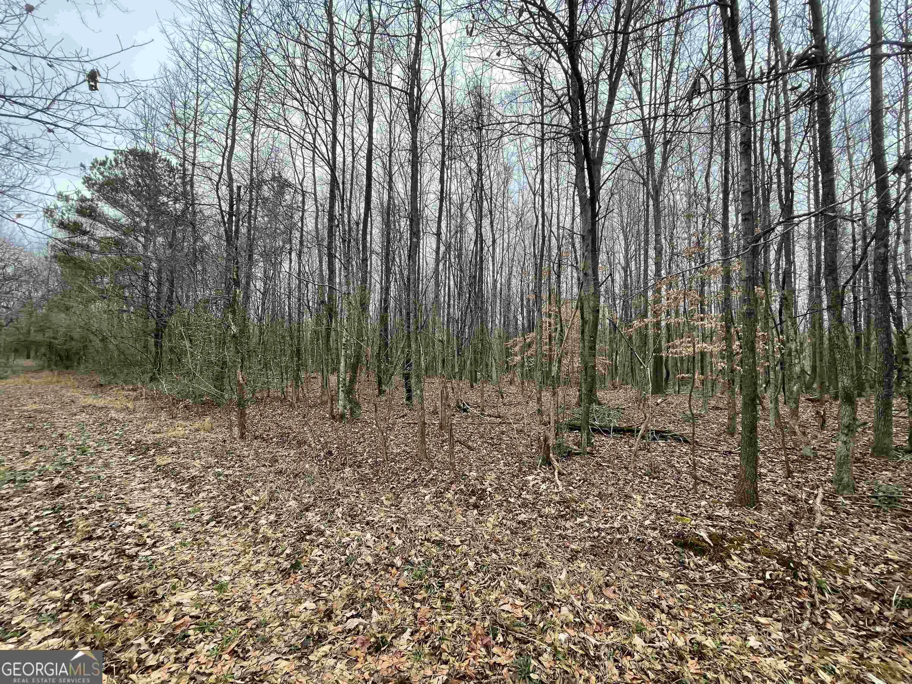 0 Holiness Campground Road