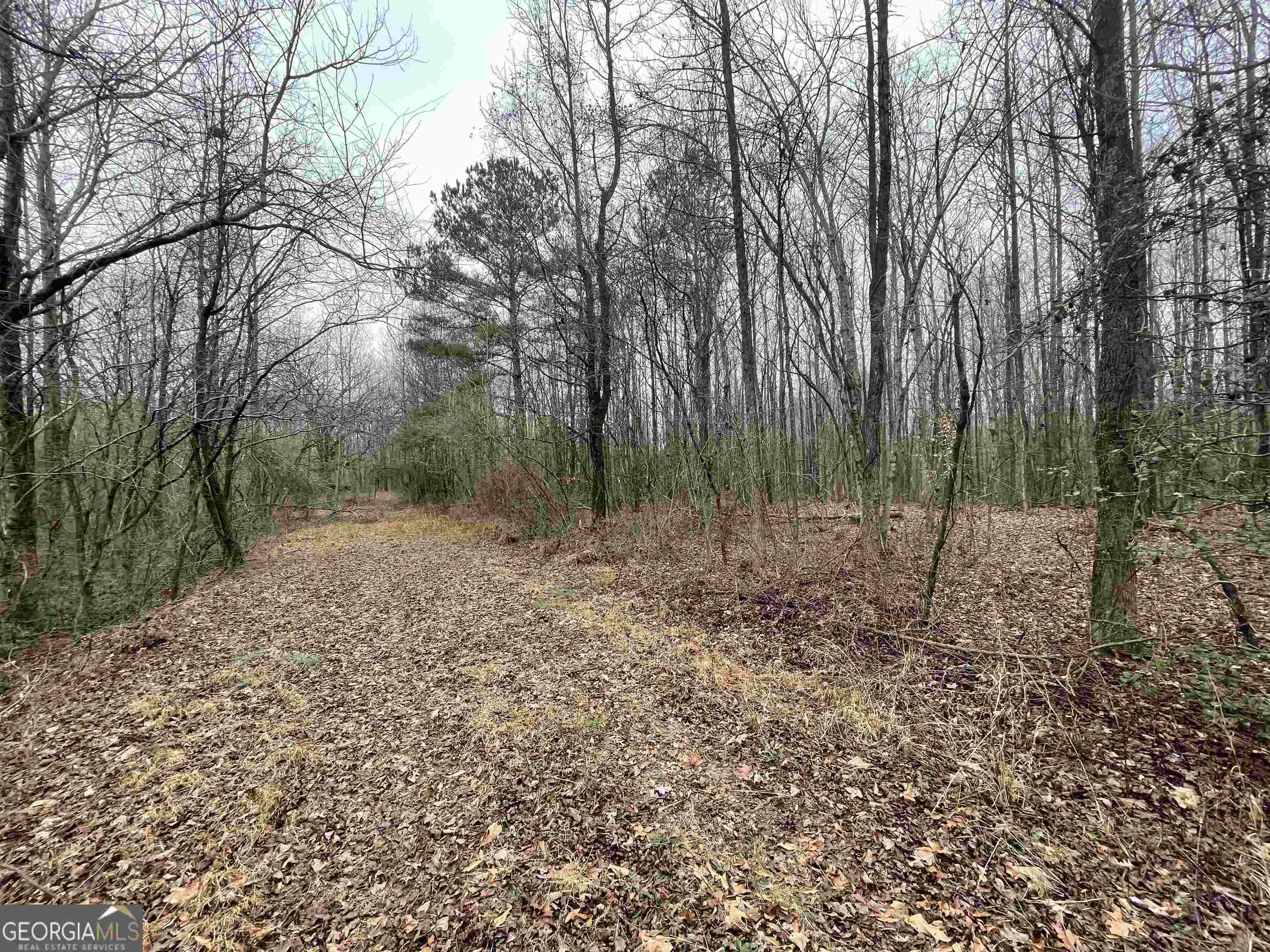 0 Holiness Campground Road
