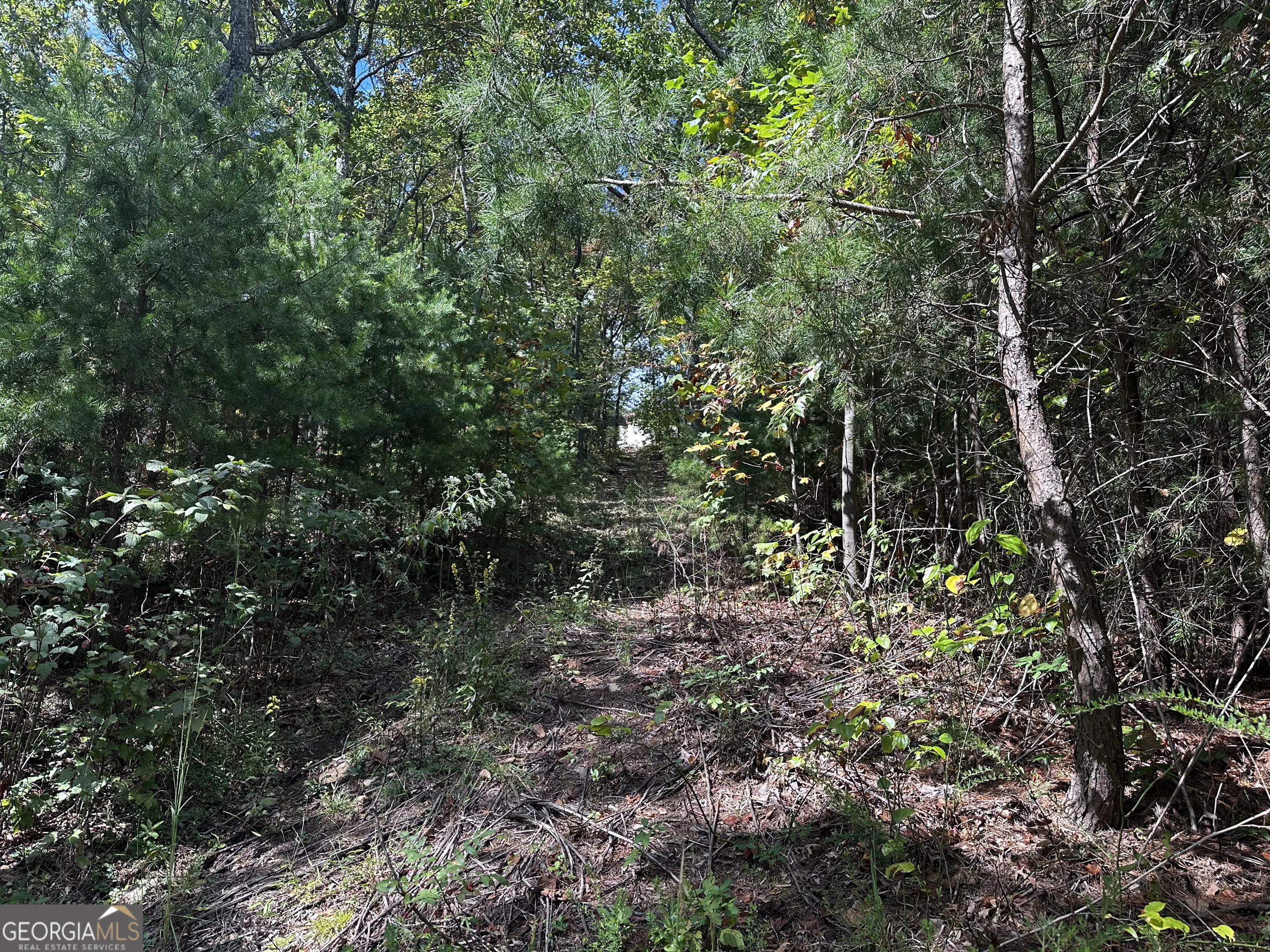 246 Andes Ridge