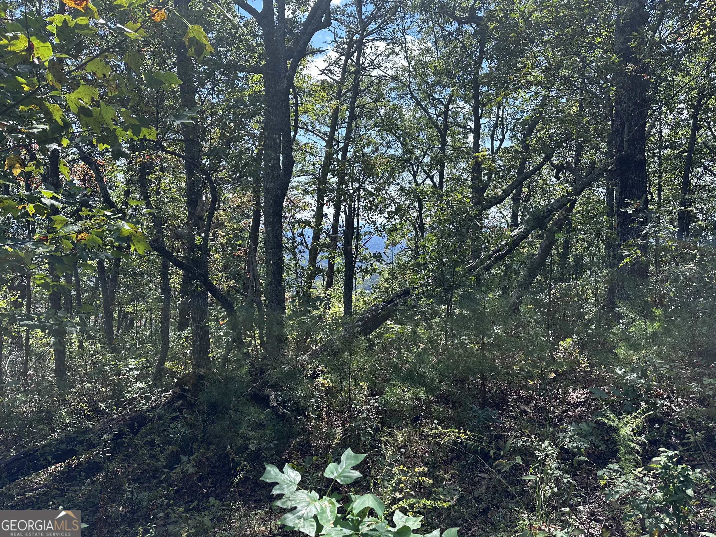 246 Andes Ridge