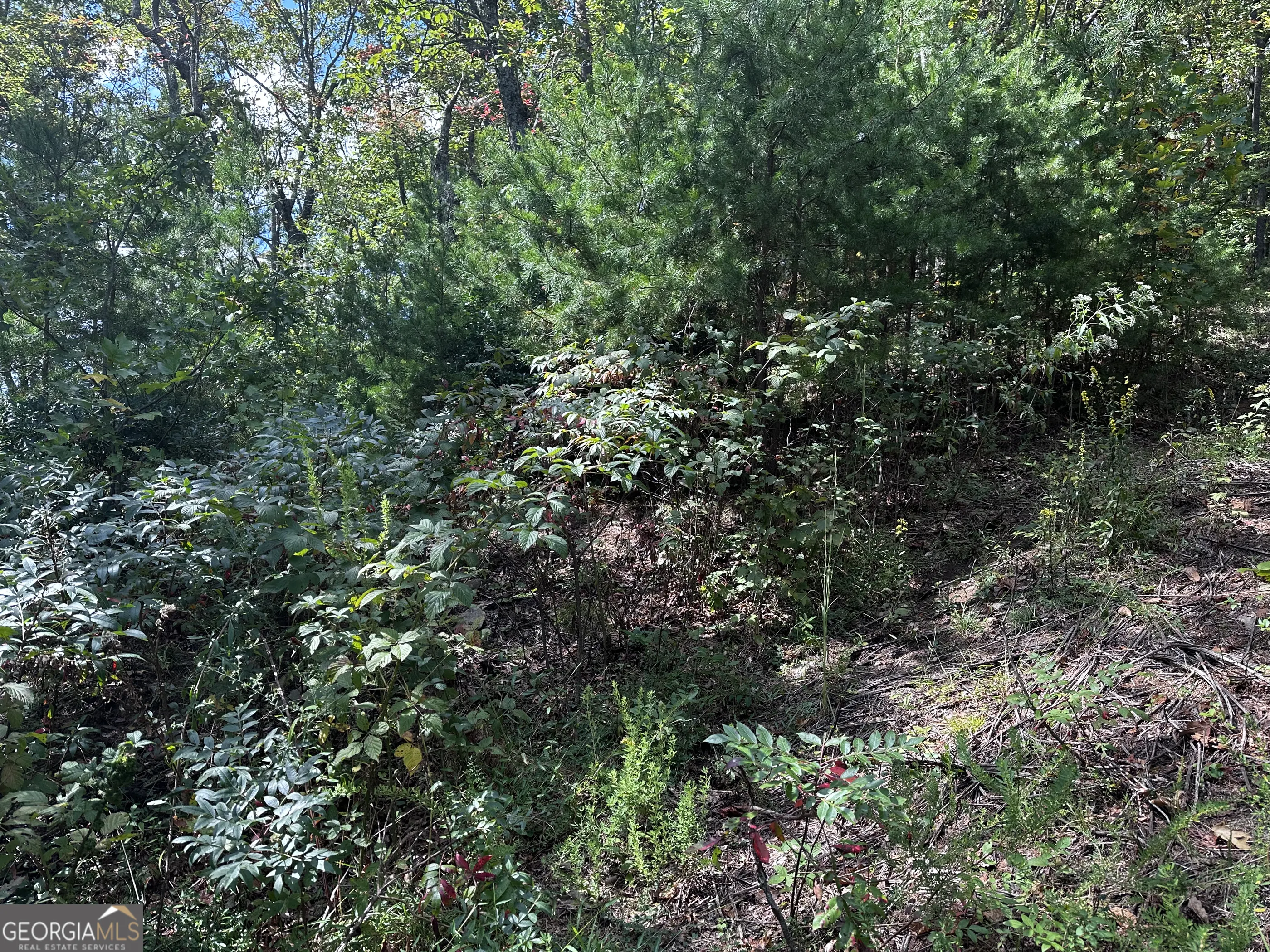 246 Andes Ridge