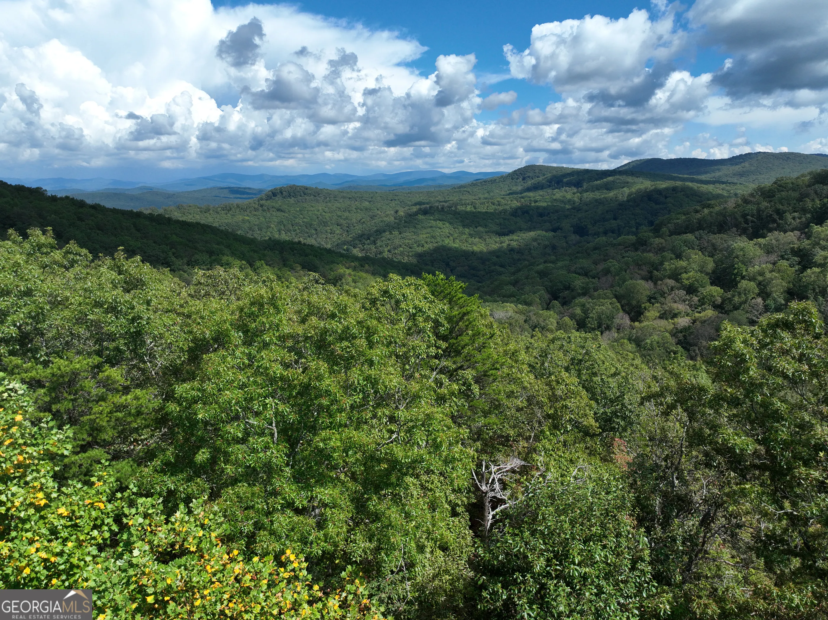 246 Andes Ridge