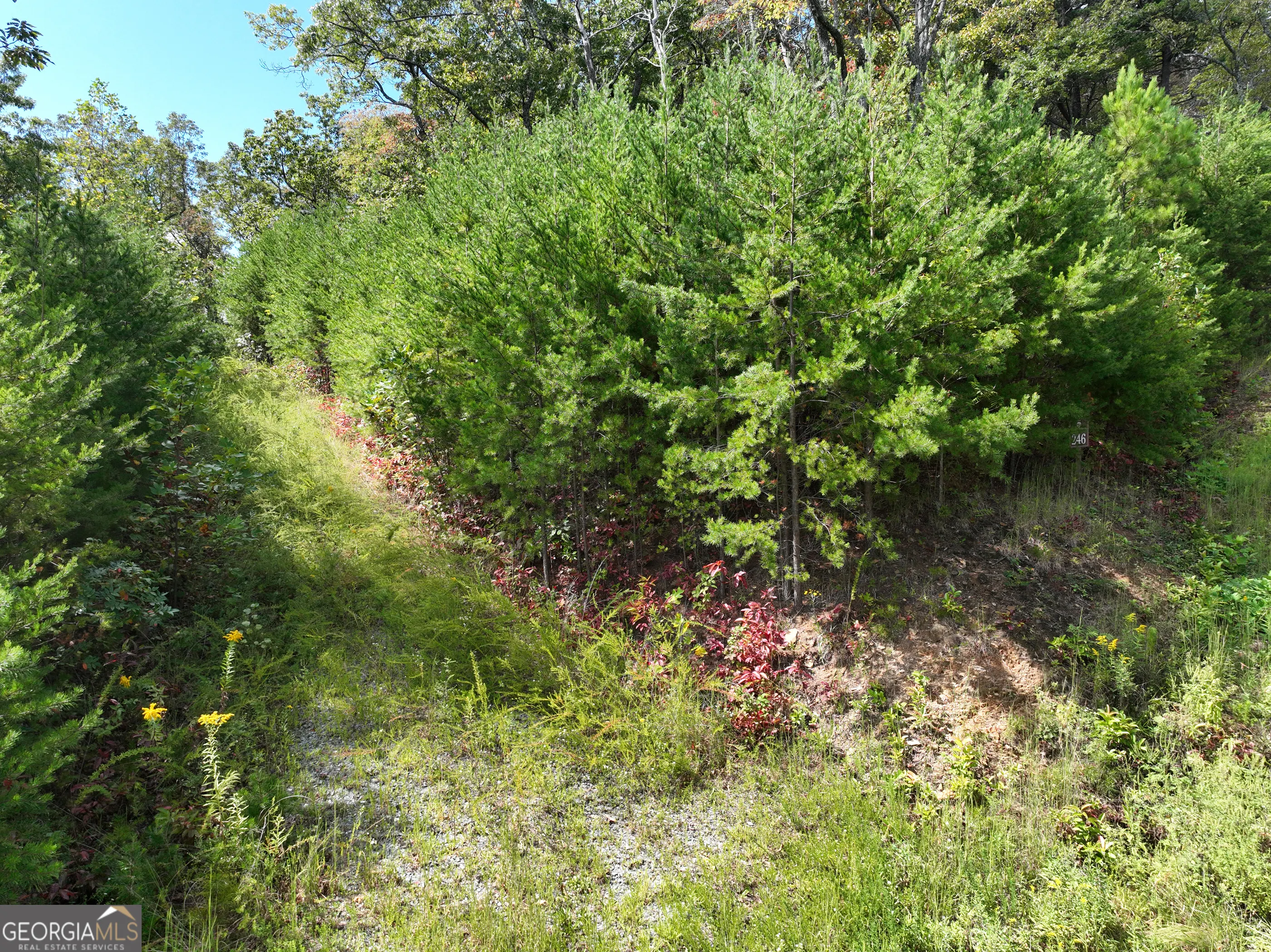 246 Andes Ridge