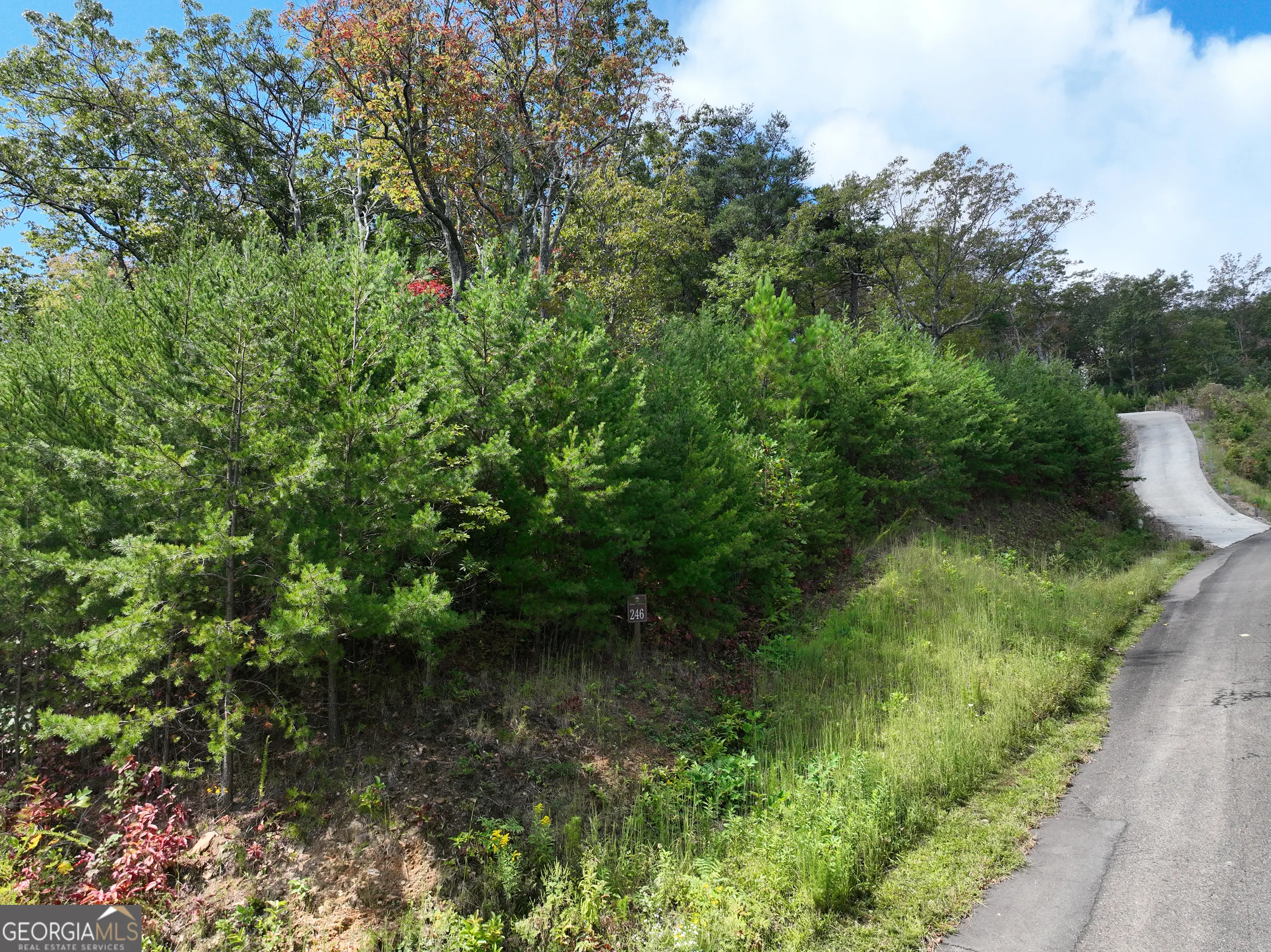 246 Andes Ridge