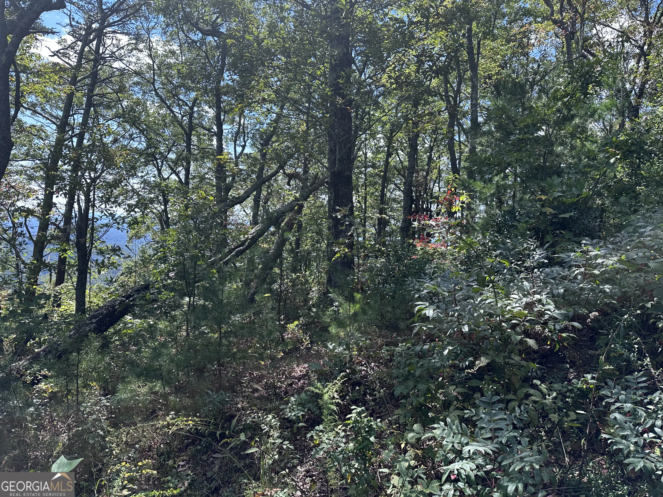 246 Andes Ridge