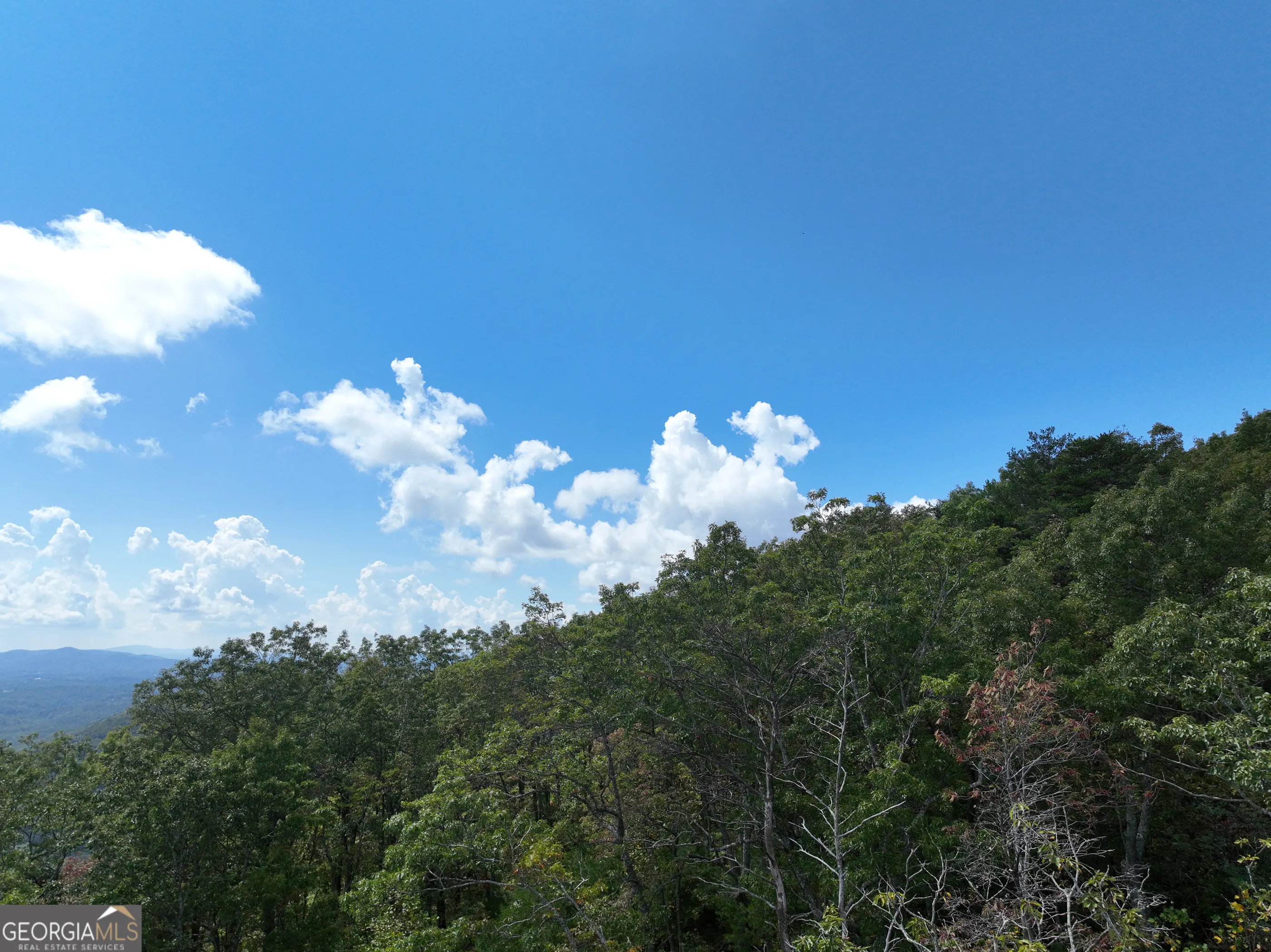 246 Andes Ridge