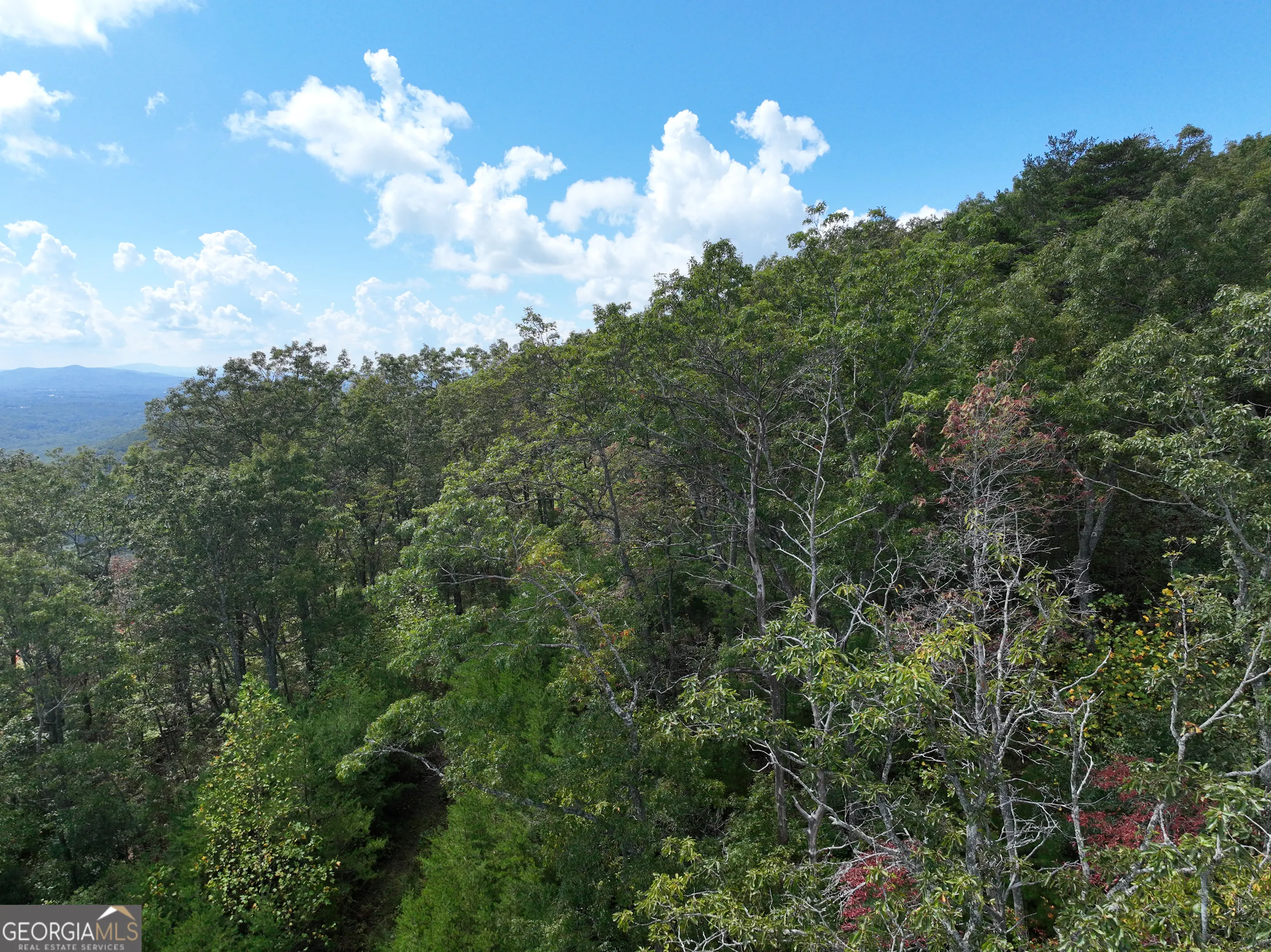 246 Andes Ridge