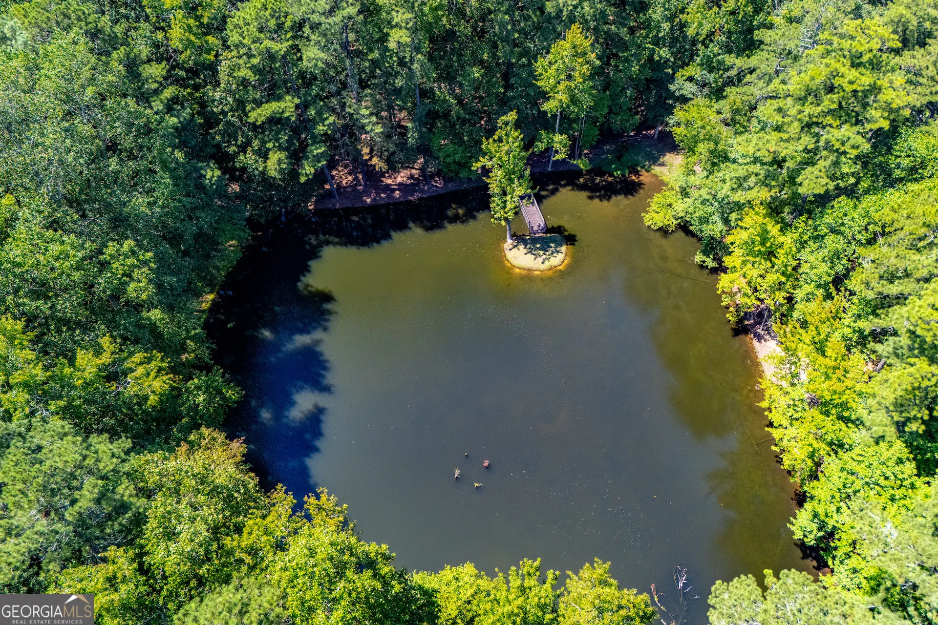 391 Foggy Bottom Drive