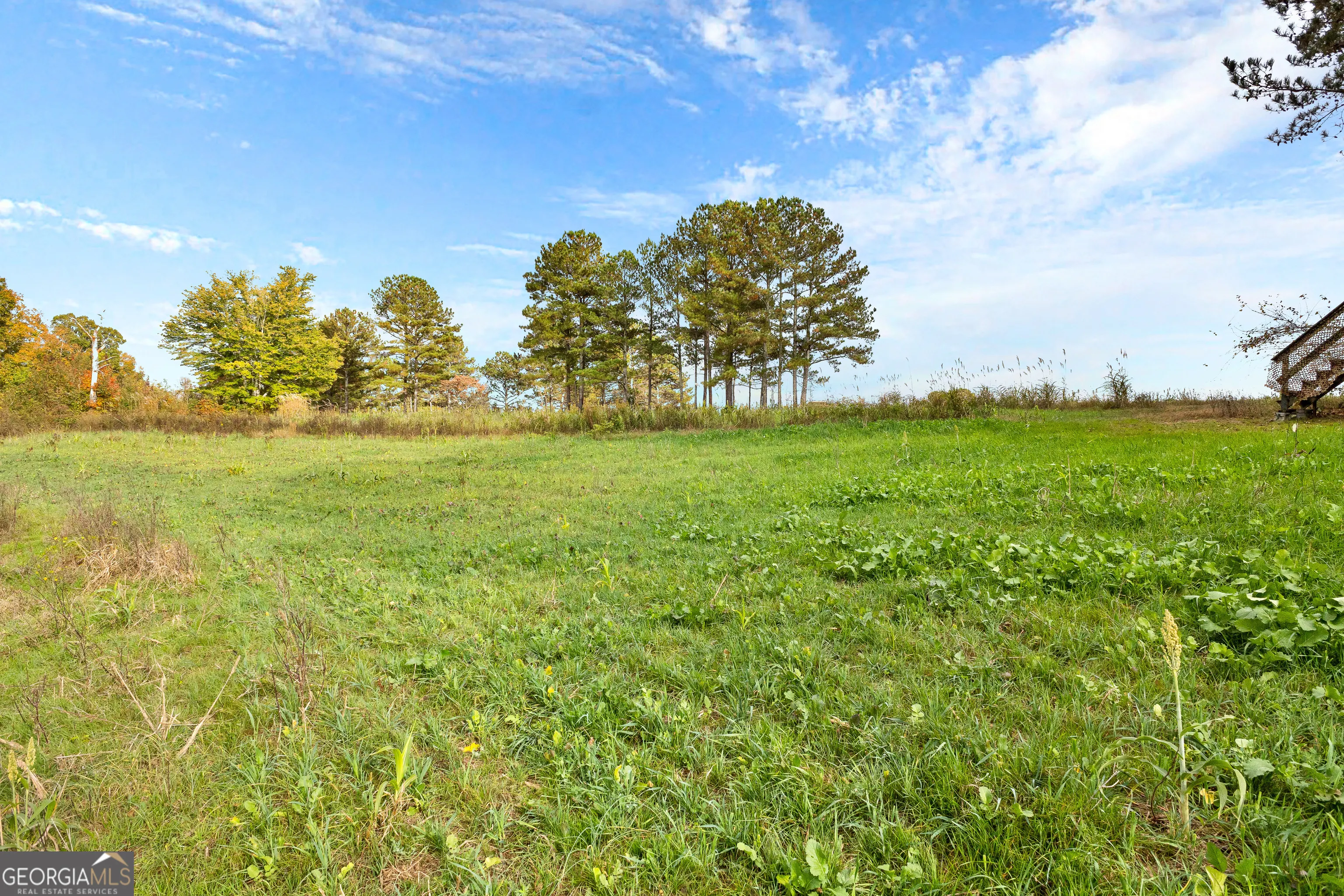 1915 Whooping Creek Church Road