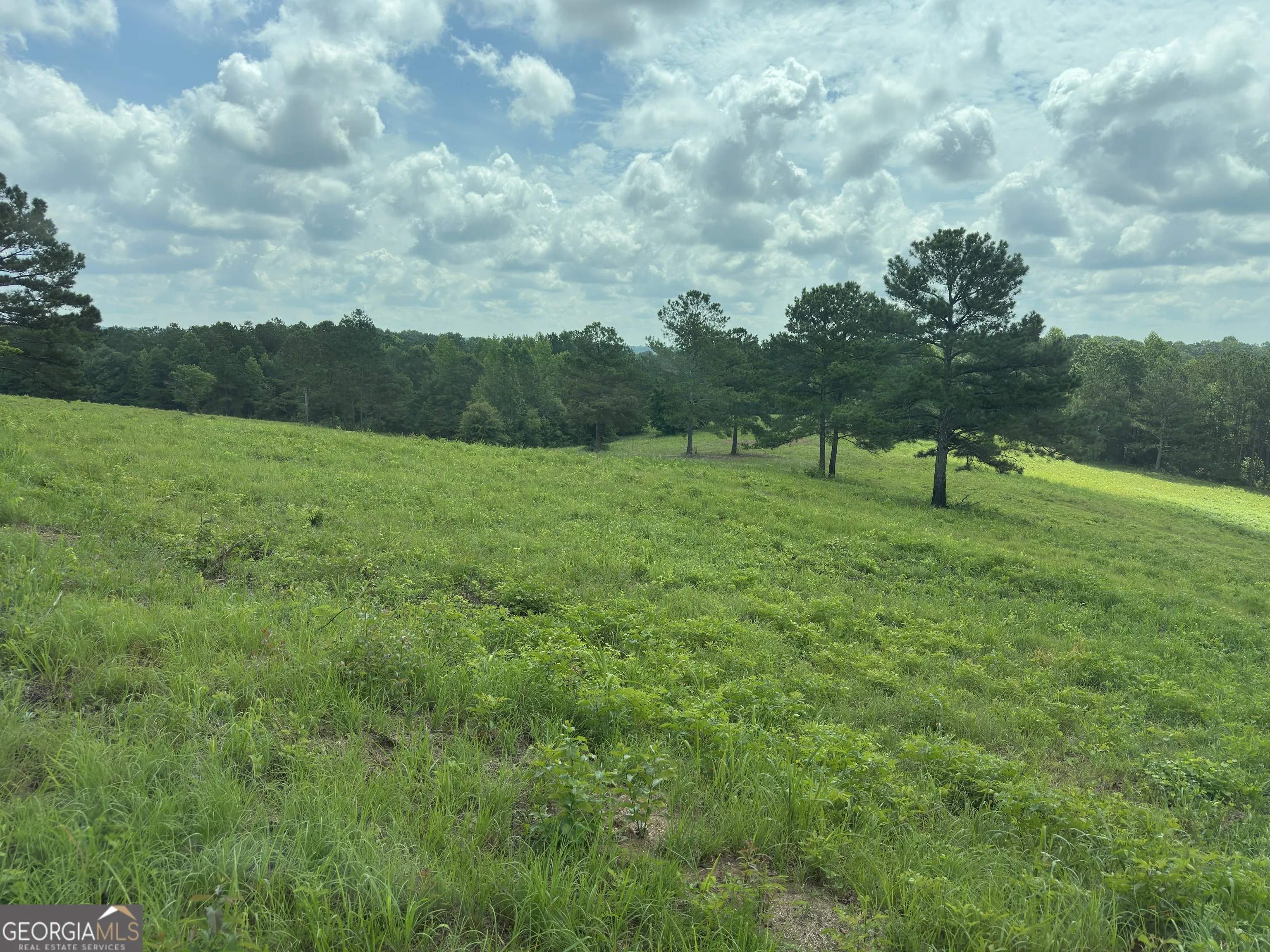 1915 Whooping Creek Church Road