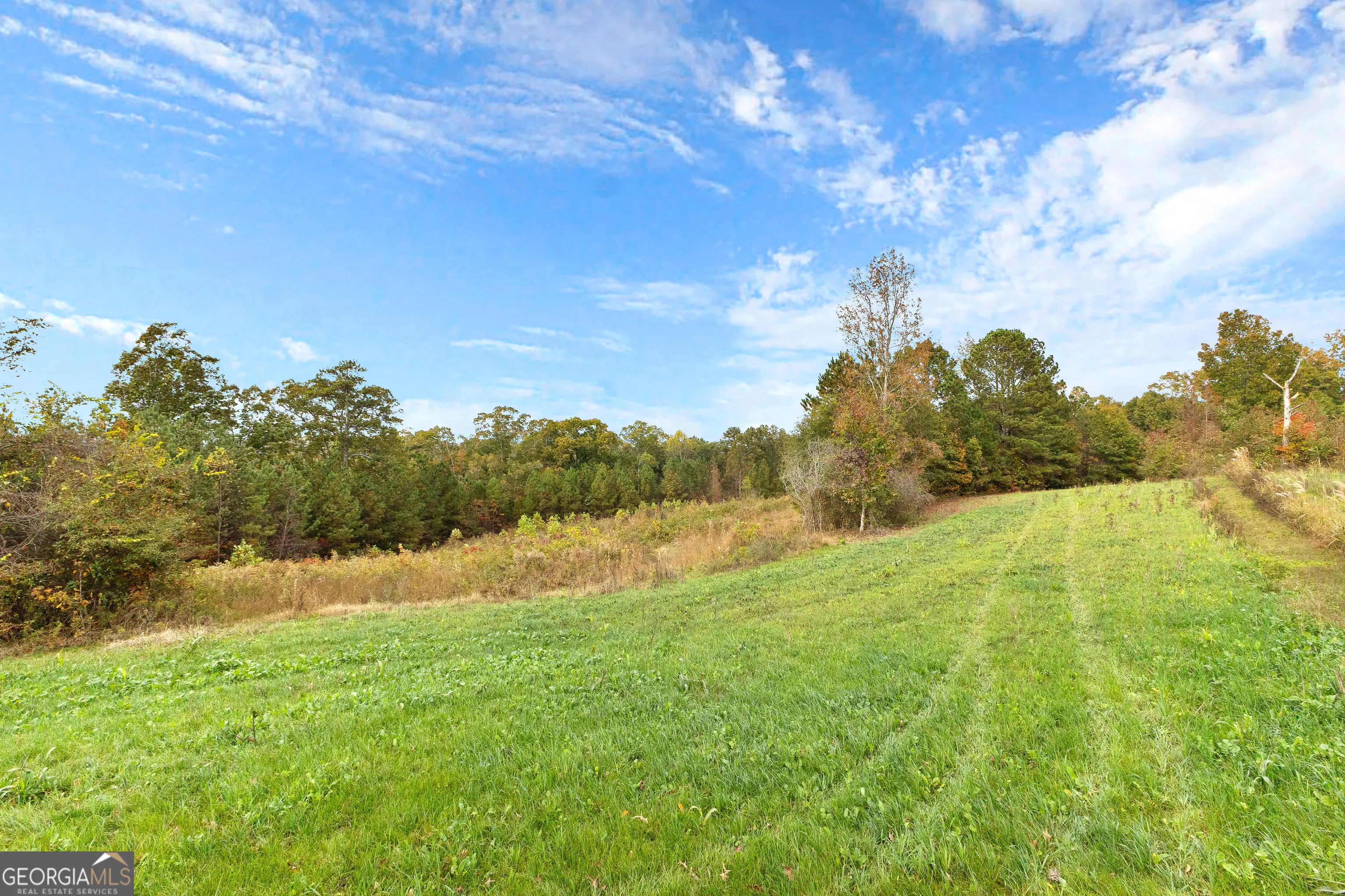 1915 Whooping Creek Church Road