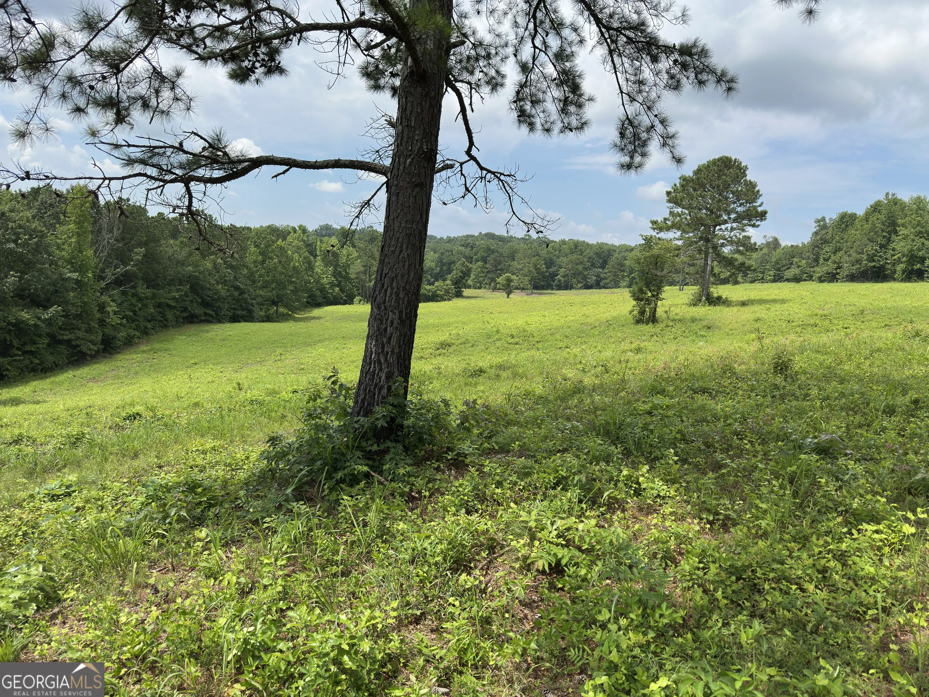 1915 Whooping Creek Church Road