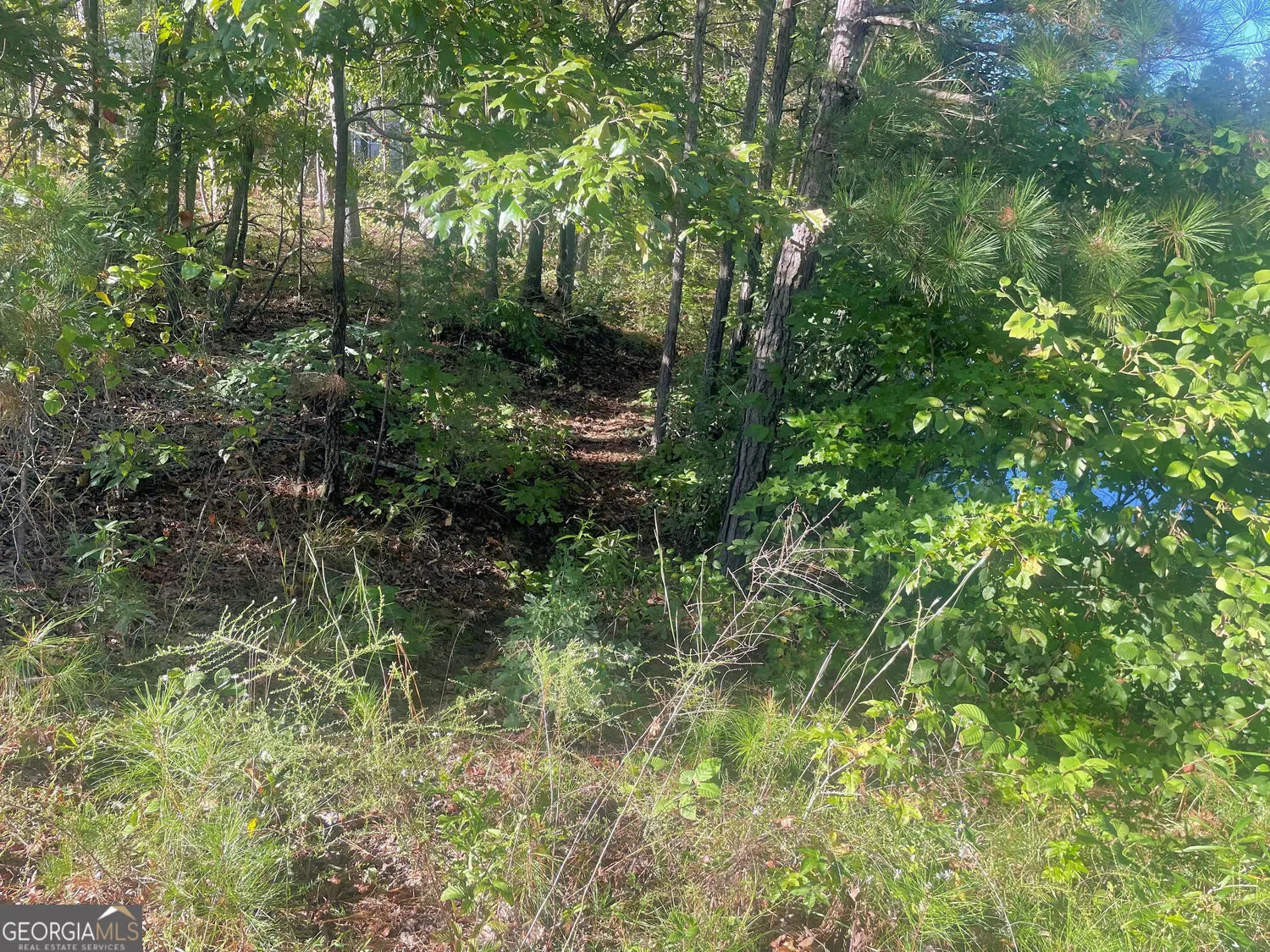 115 Haven Brook Way