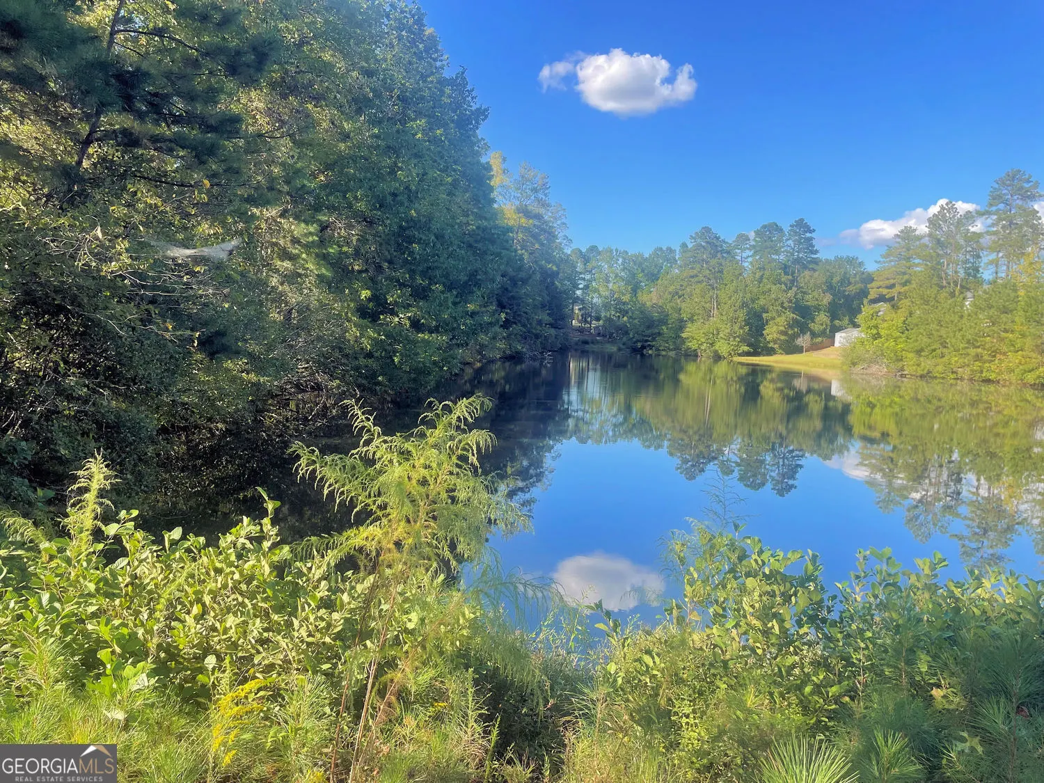 115 Haven Brook Way