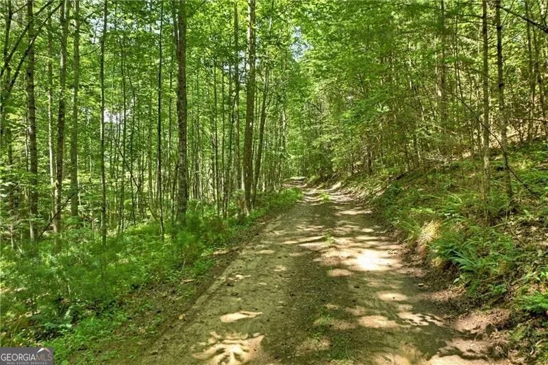 28 AC Jolley Way