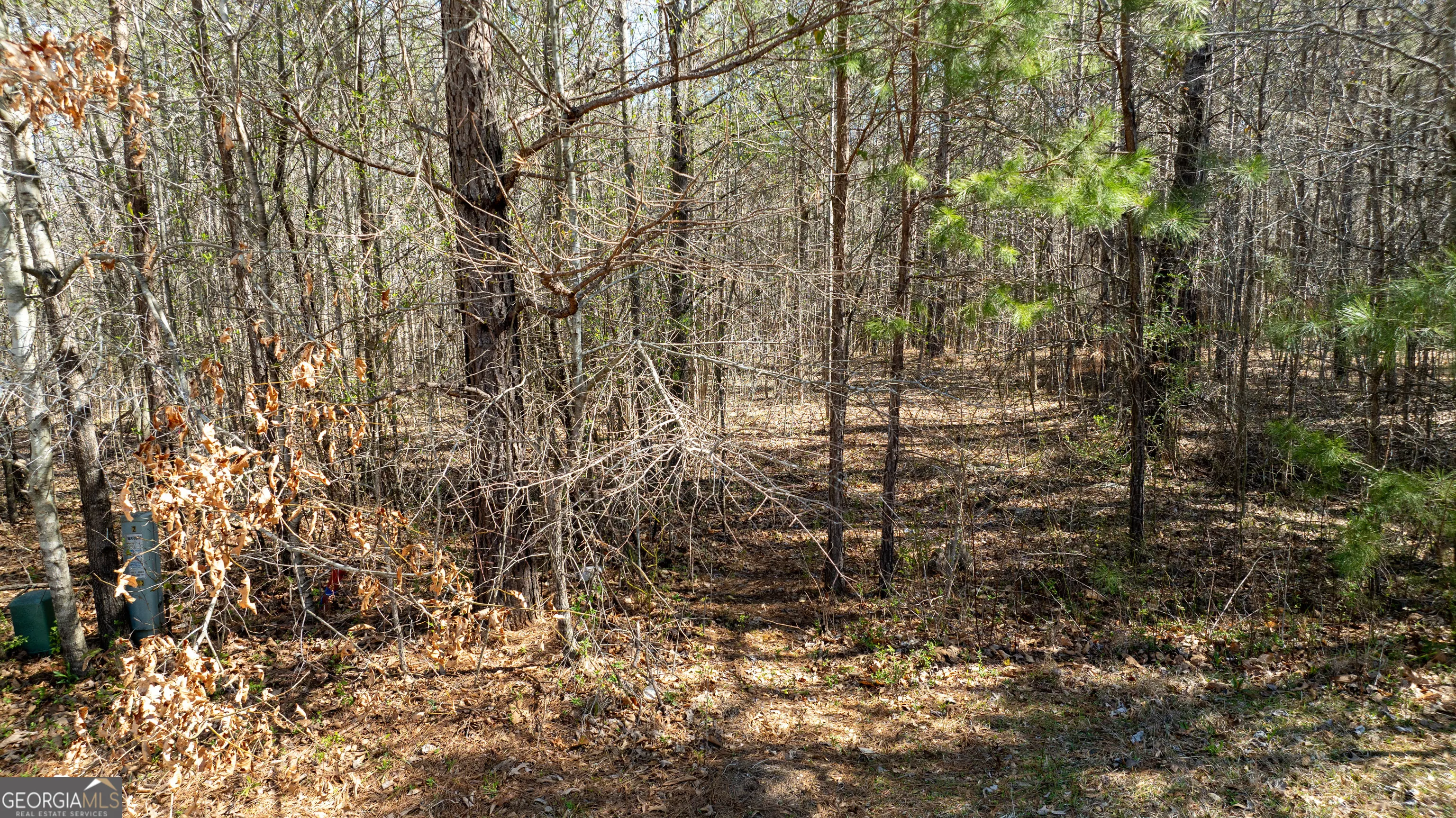 LOT A-20 0 Bent Tree Court, #LOT A-20