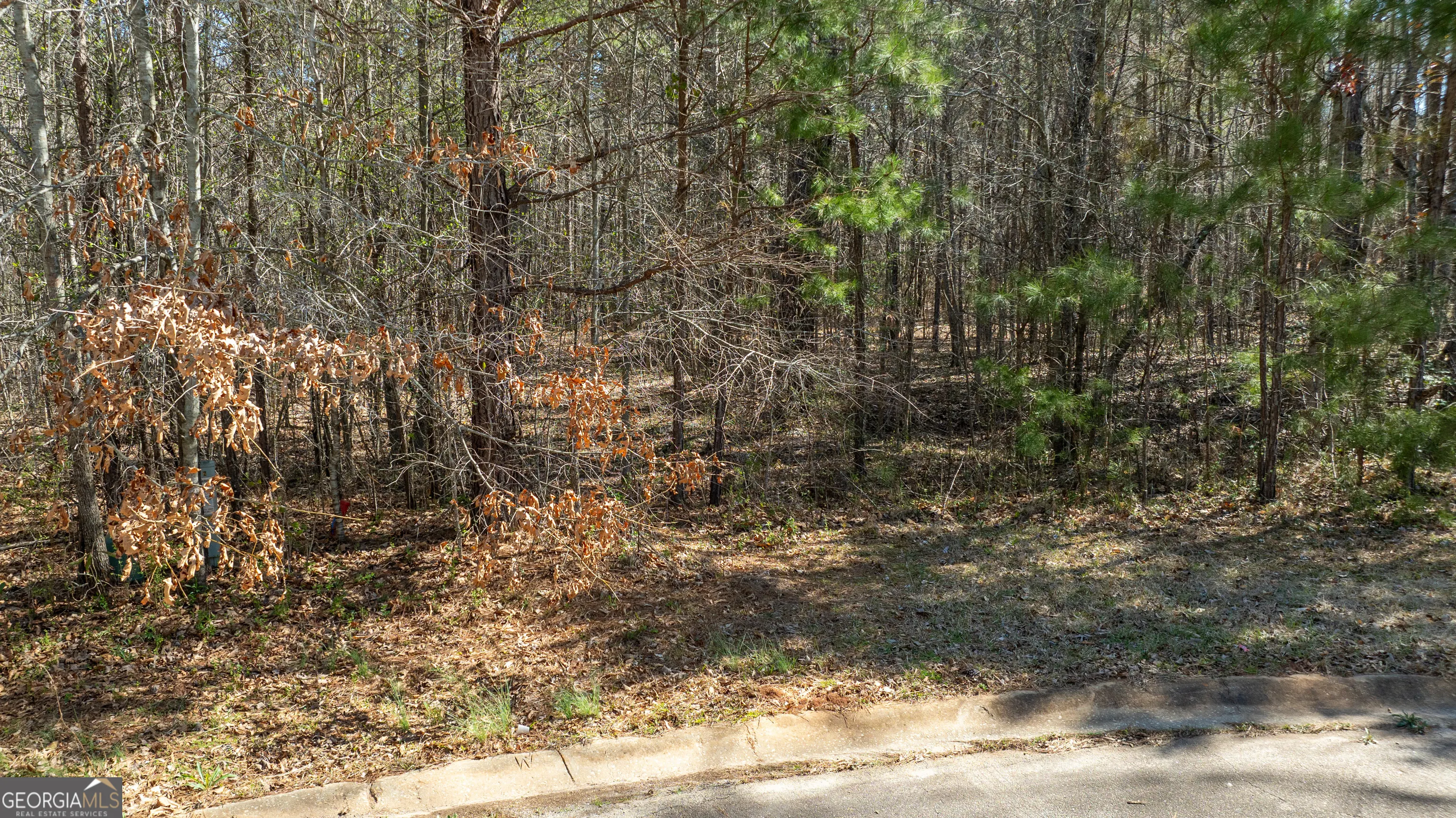 LOT A-20 0 Bent Tree Court, #LOT A-20