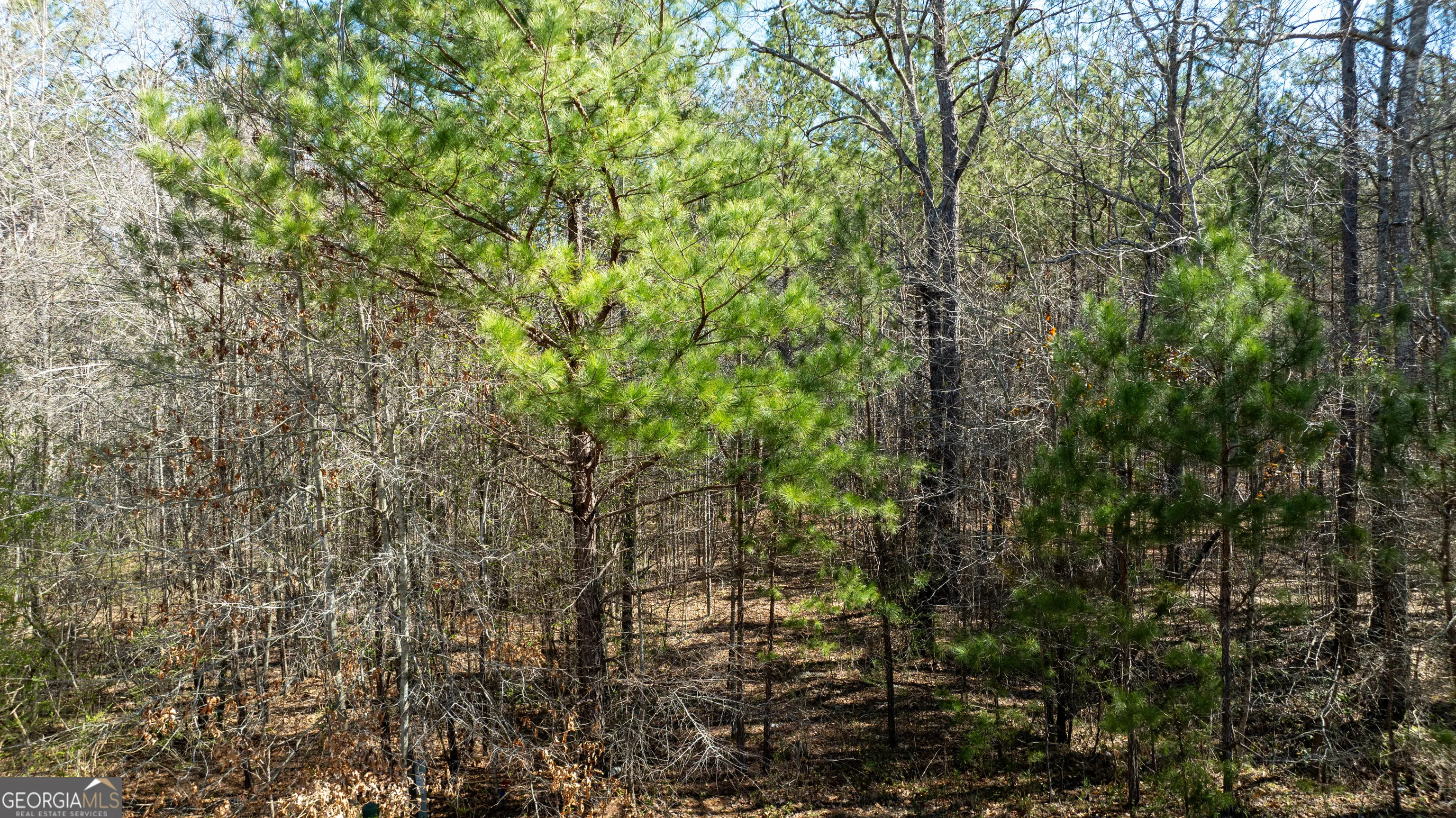 LOT A-20 0 Bent Tree Court, #LOT A-20