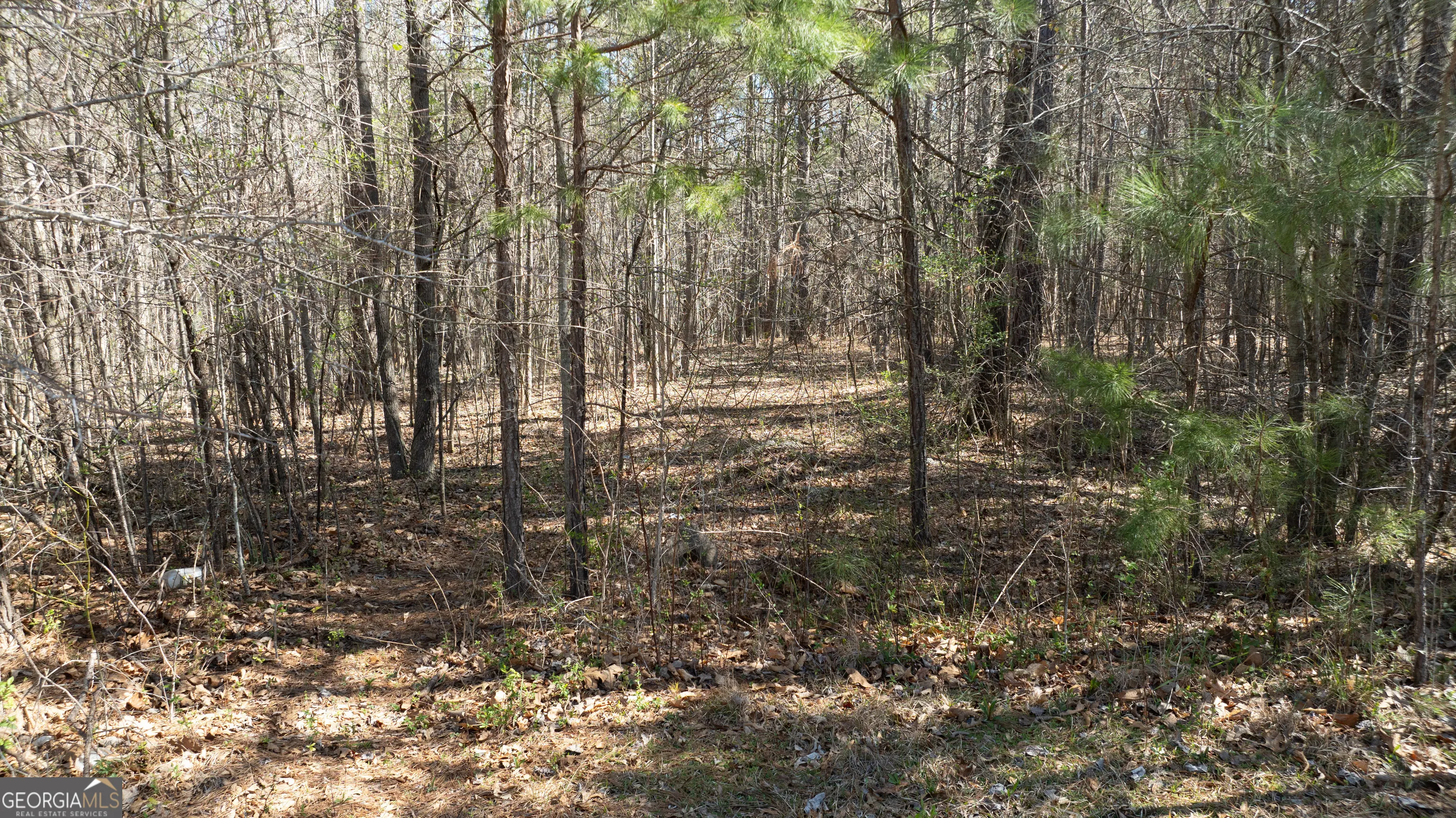 LOT A-20 0 Bent Tree Court, #LOT A-20