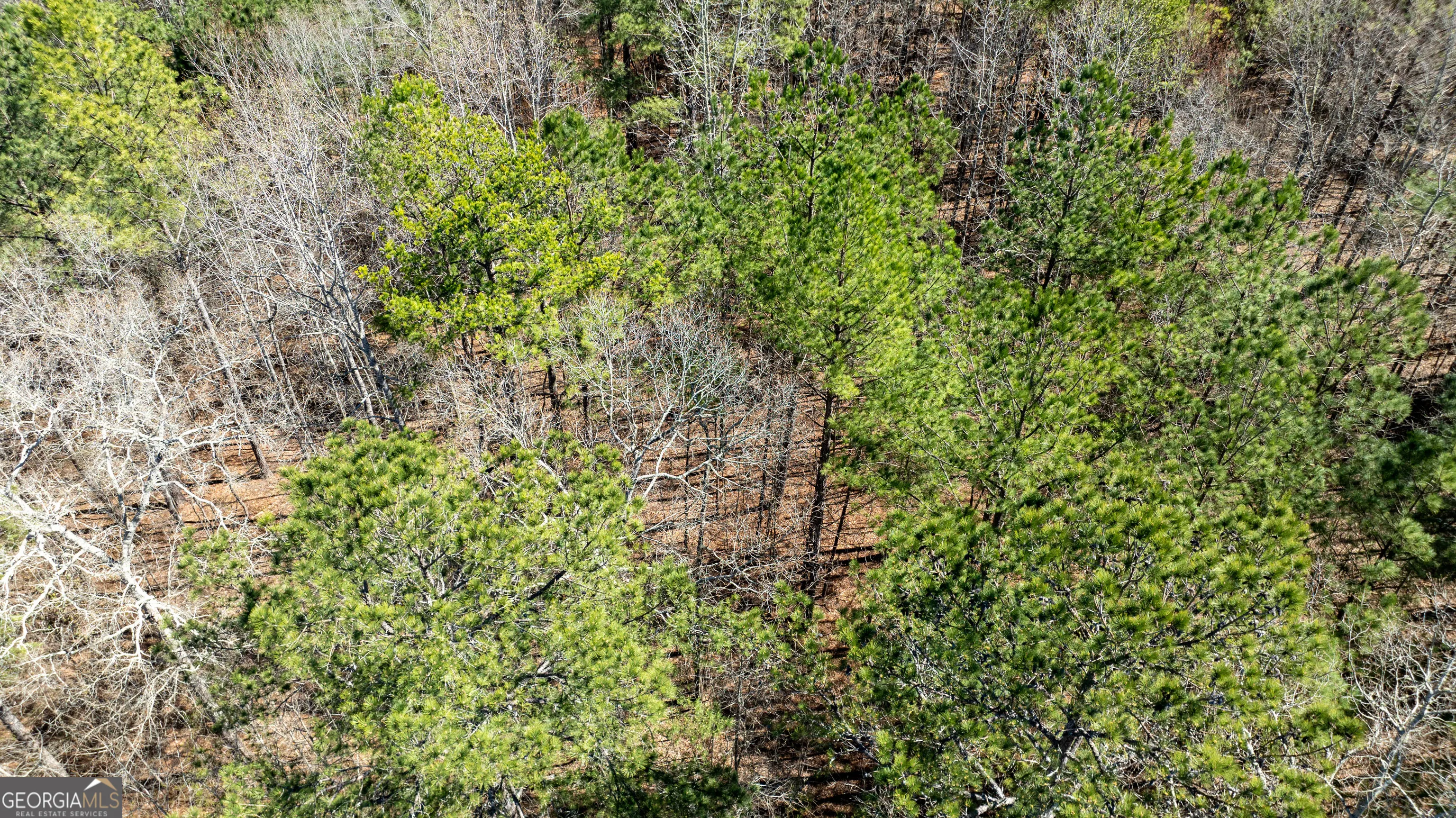 LOT A-20 0 Bent Tree Court, #LOT A-20