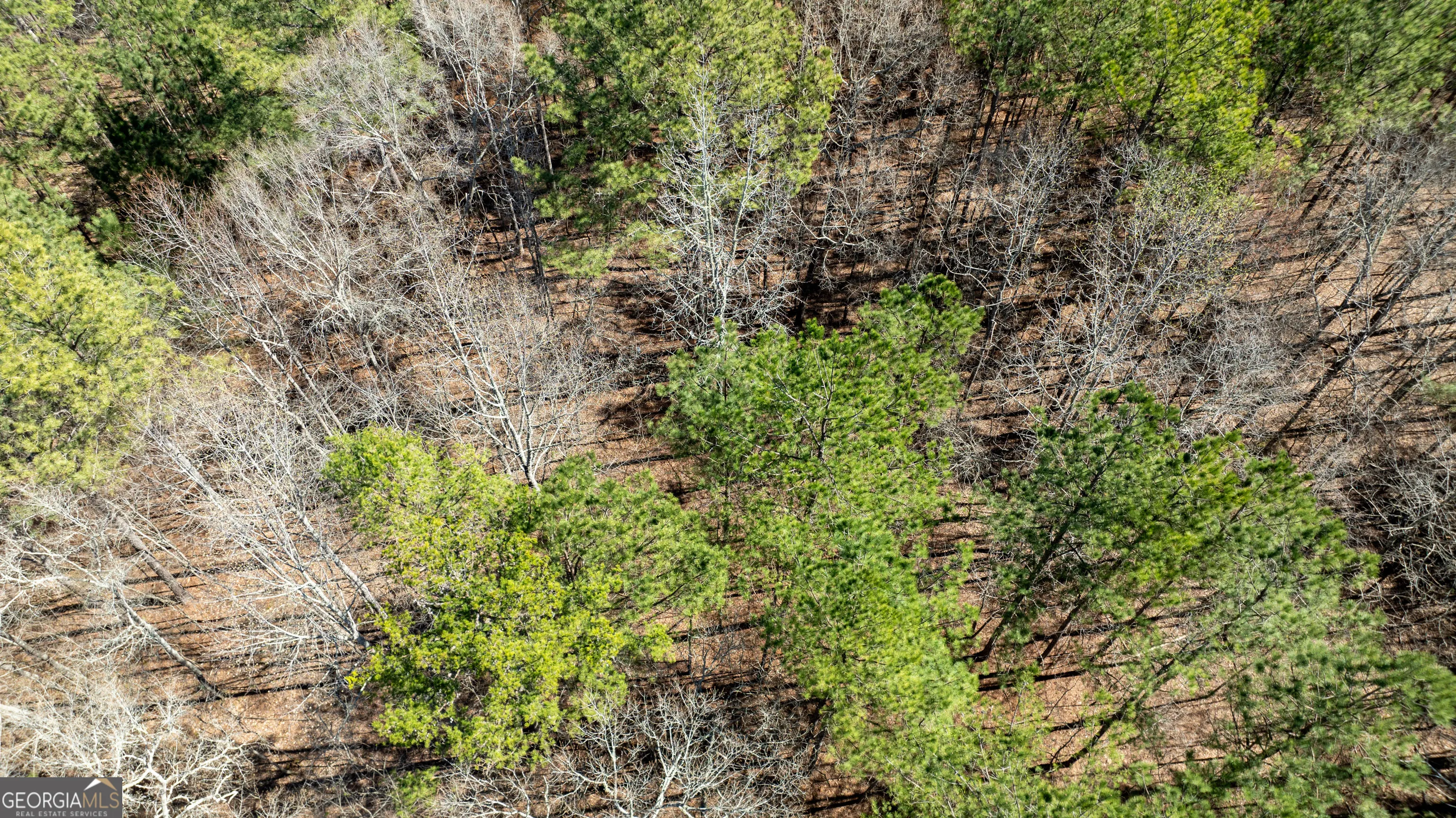 LOT A-20 0 Bent Tree Court, #LOT A-20