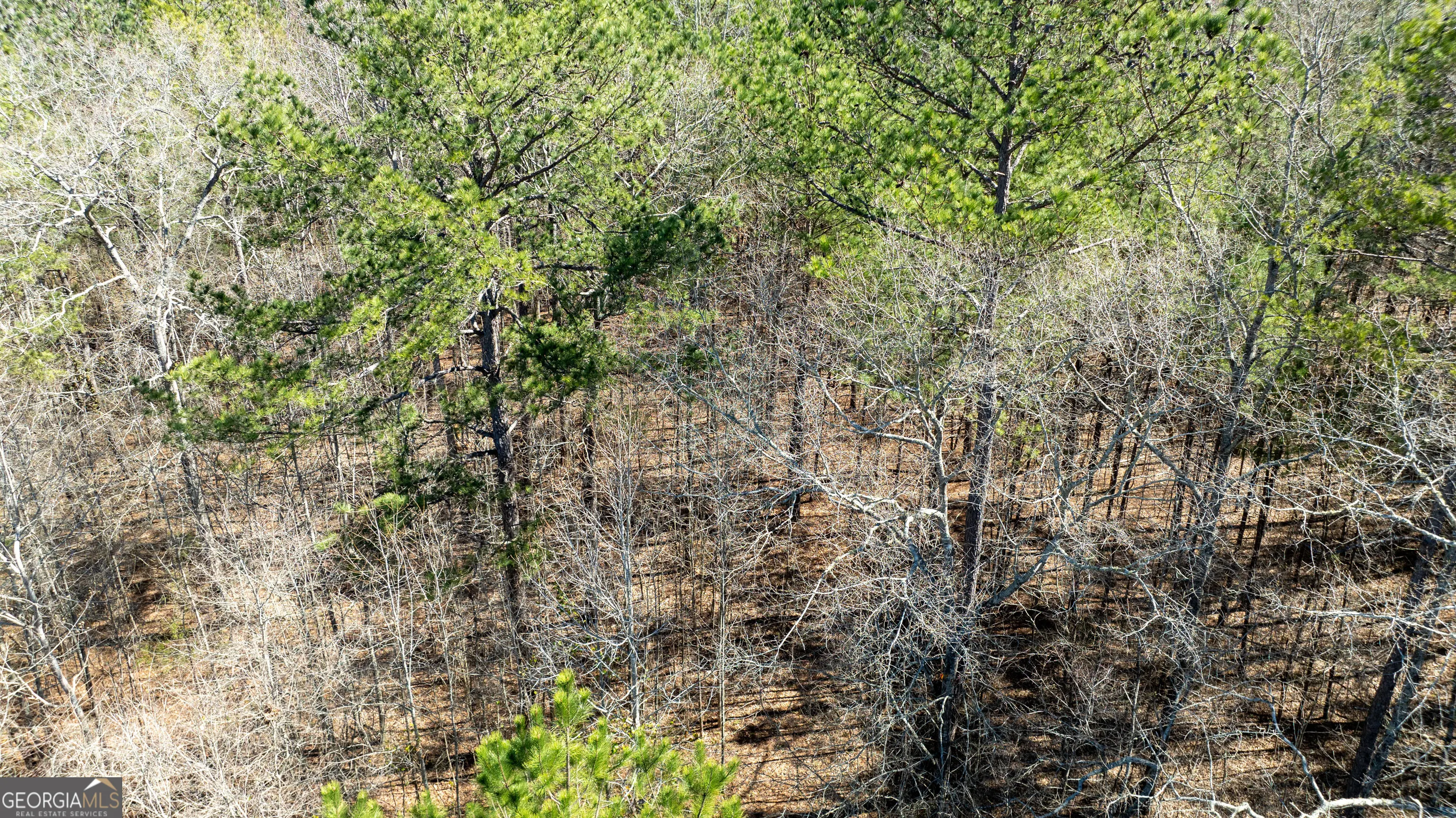 LOT A-20 0 Bent Tree Court, #LOT A-20