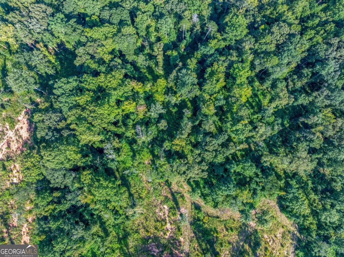 LOT 6 Stewart Loop