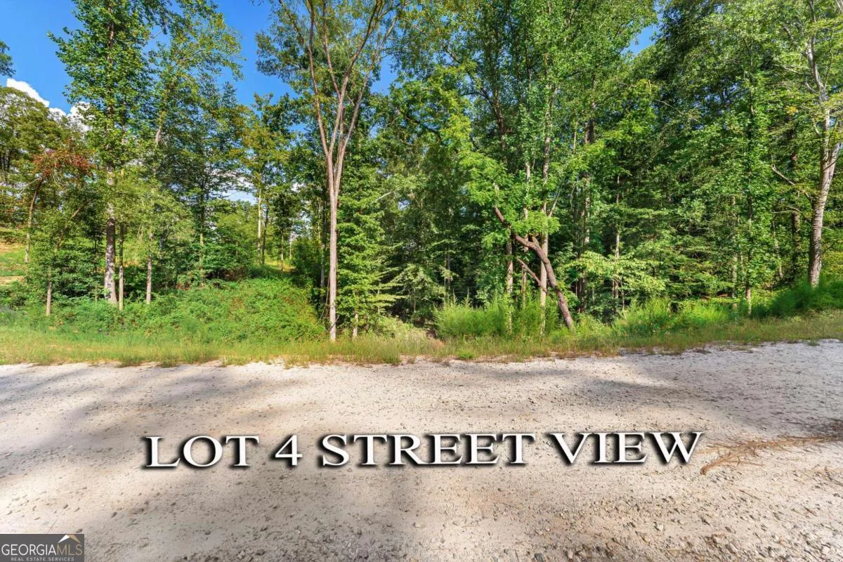 LOT 4 Stewart Loop