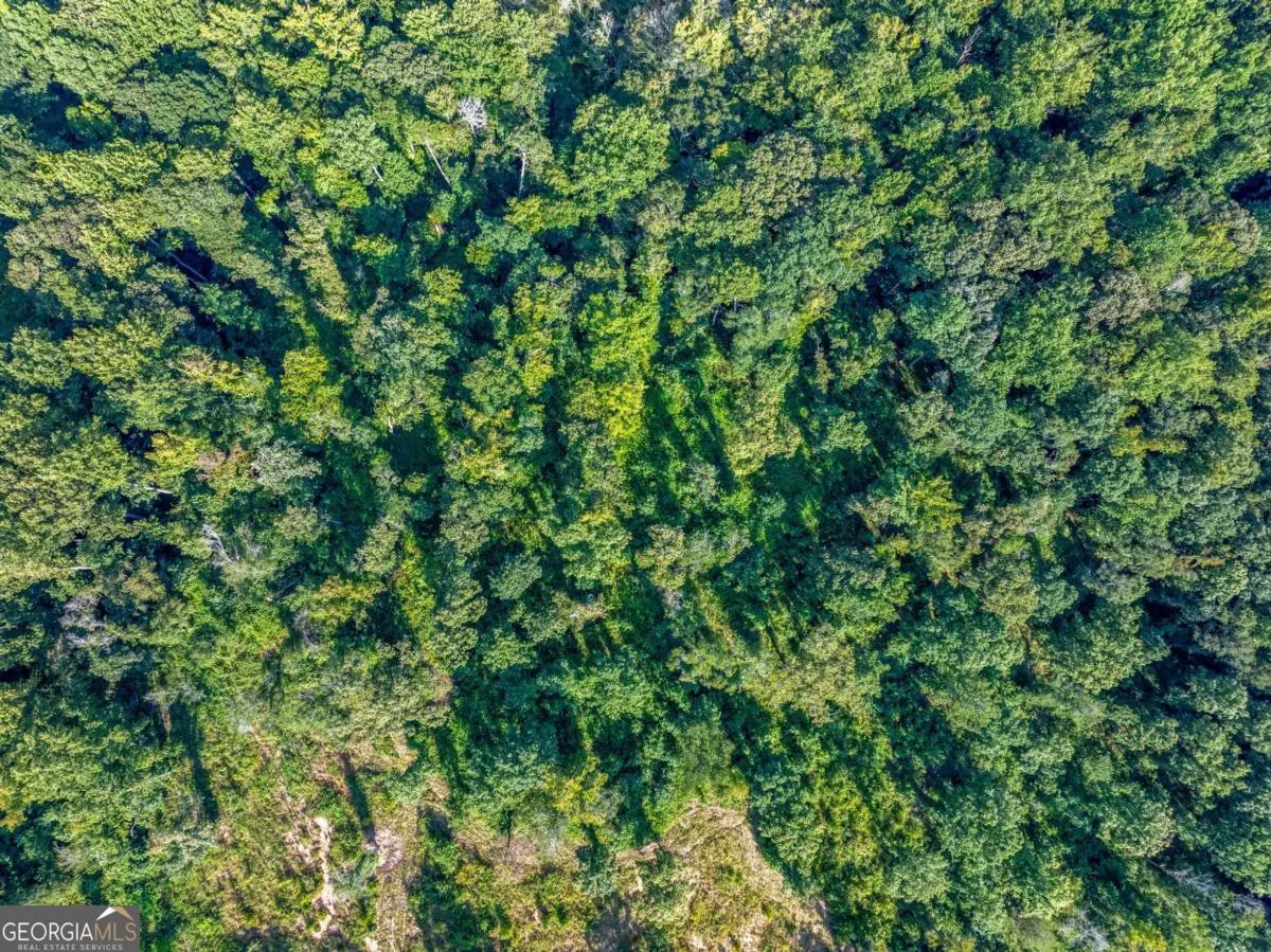 LOT 5 Stewart Loop