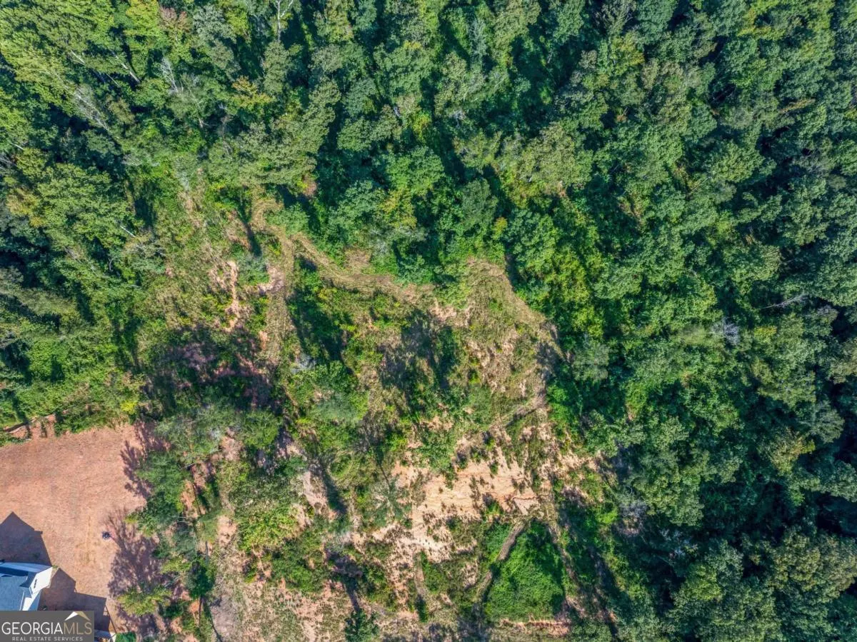 LOT 5 Stewart Loop