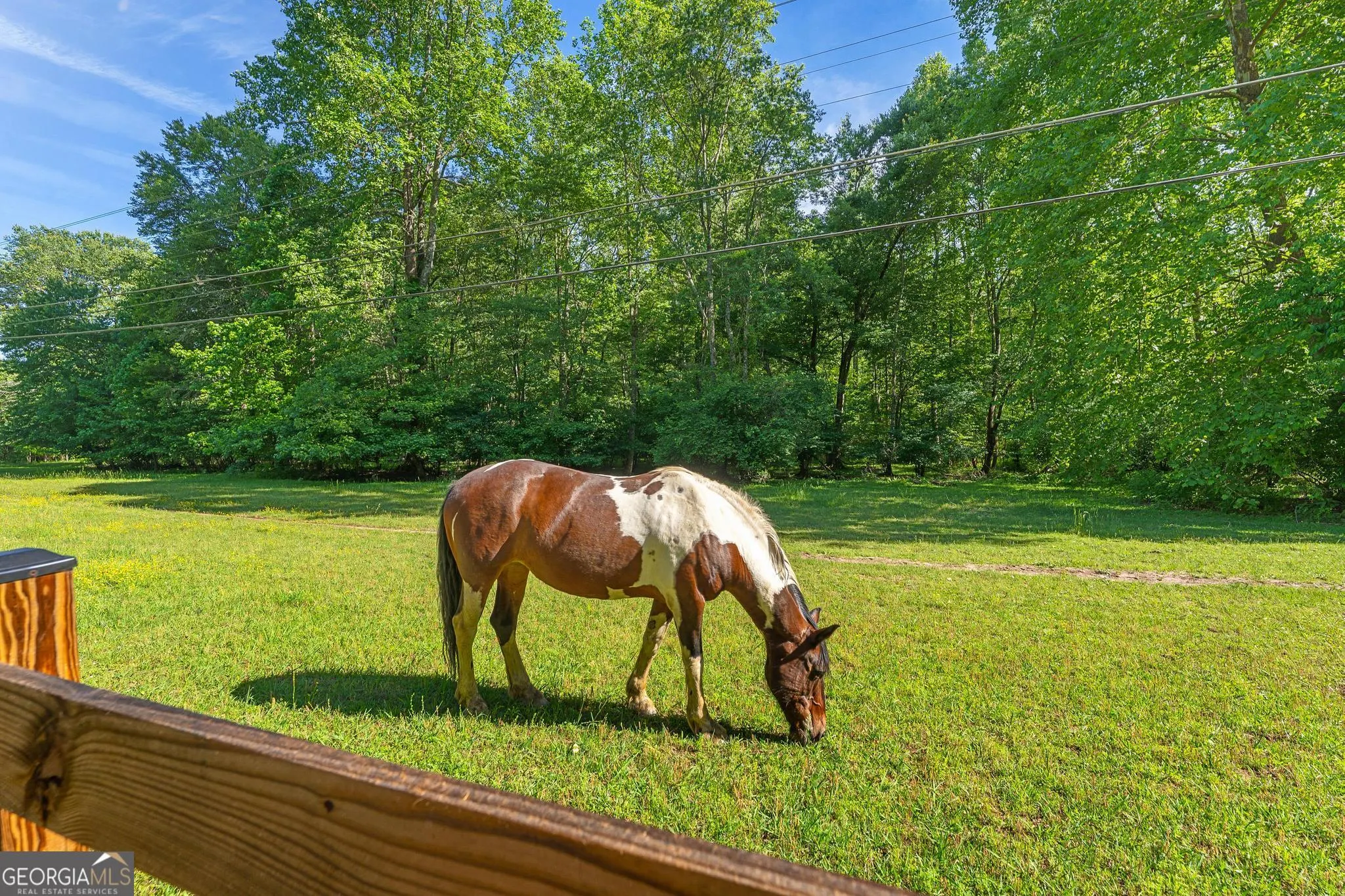 1127 Sautee Trail
