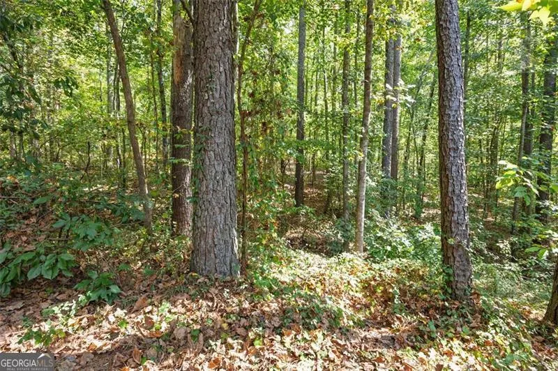 121 GREATWOOD Drive