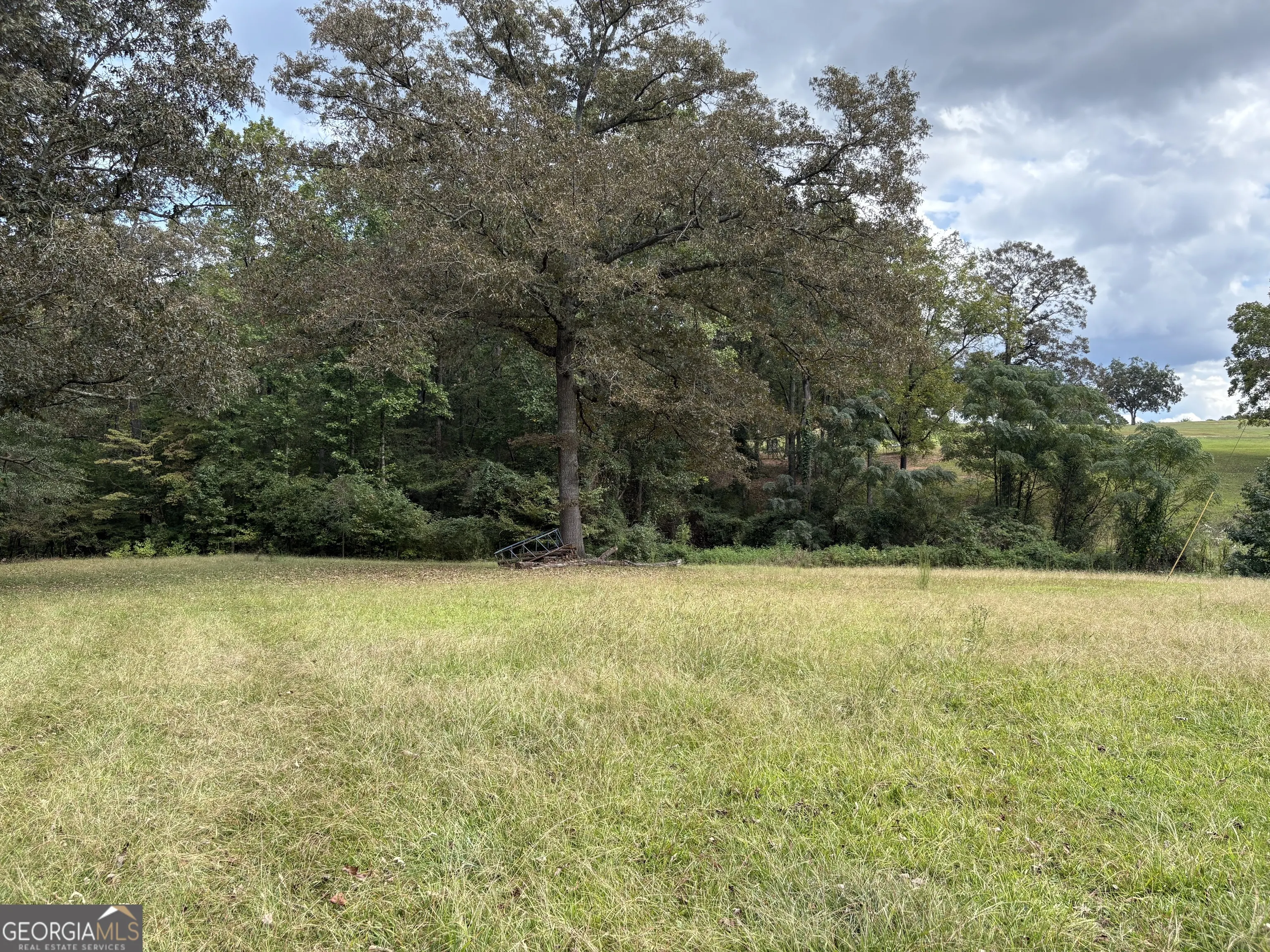 4081 Greensboro Highway