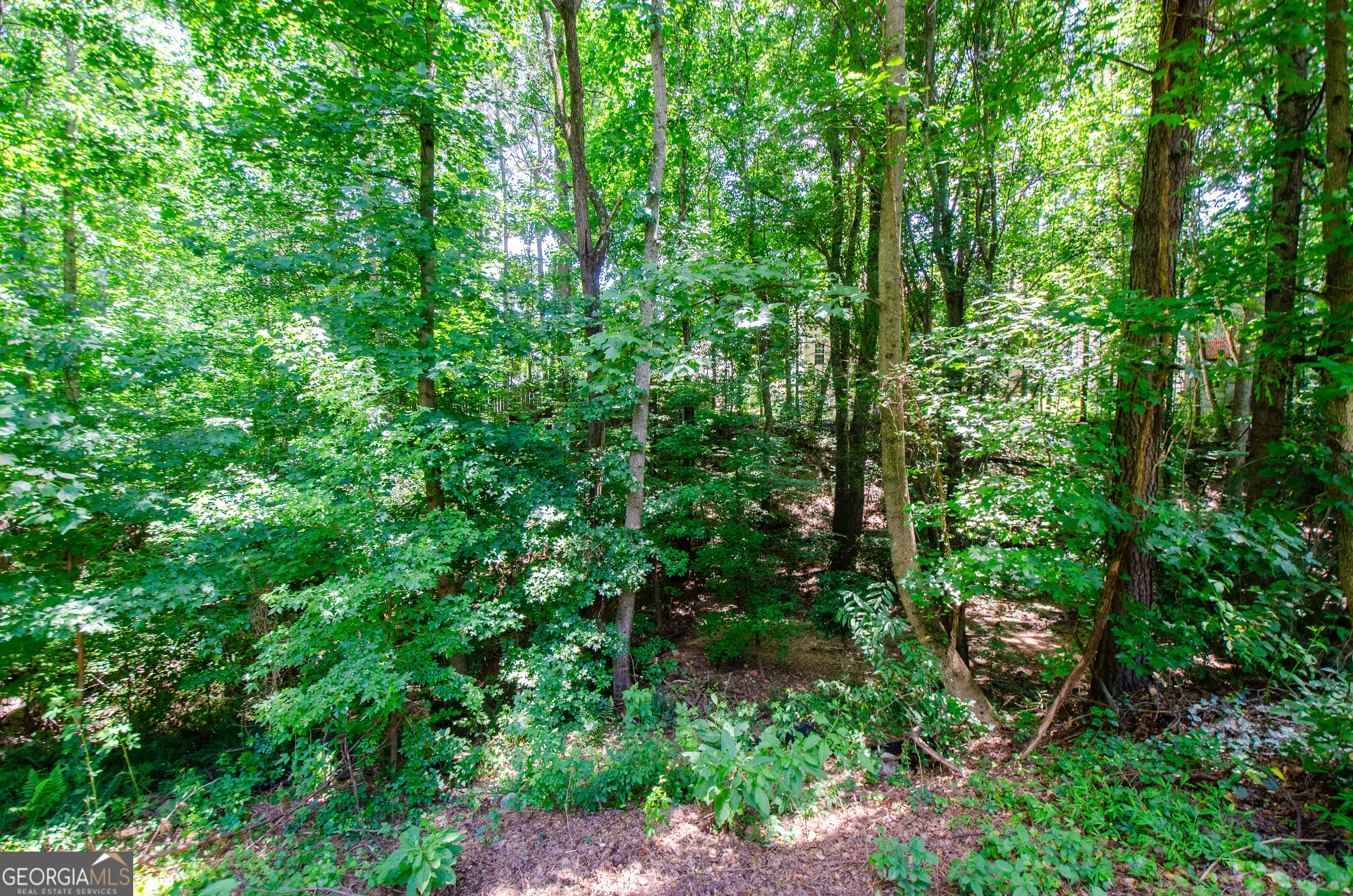 3390 Northcliff Drive