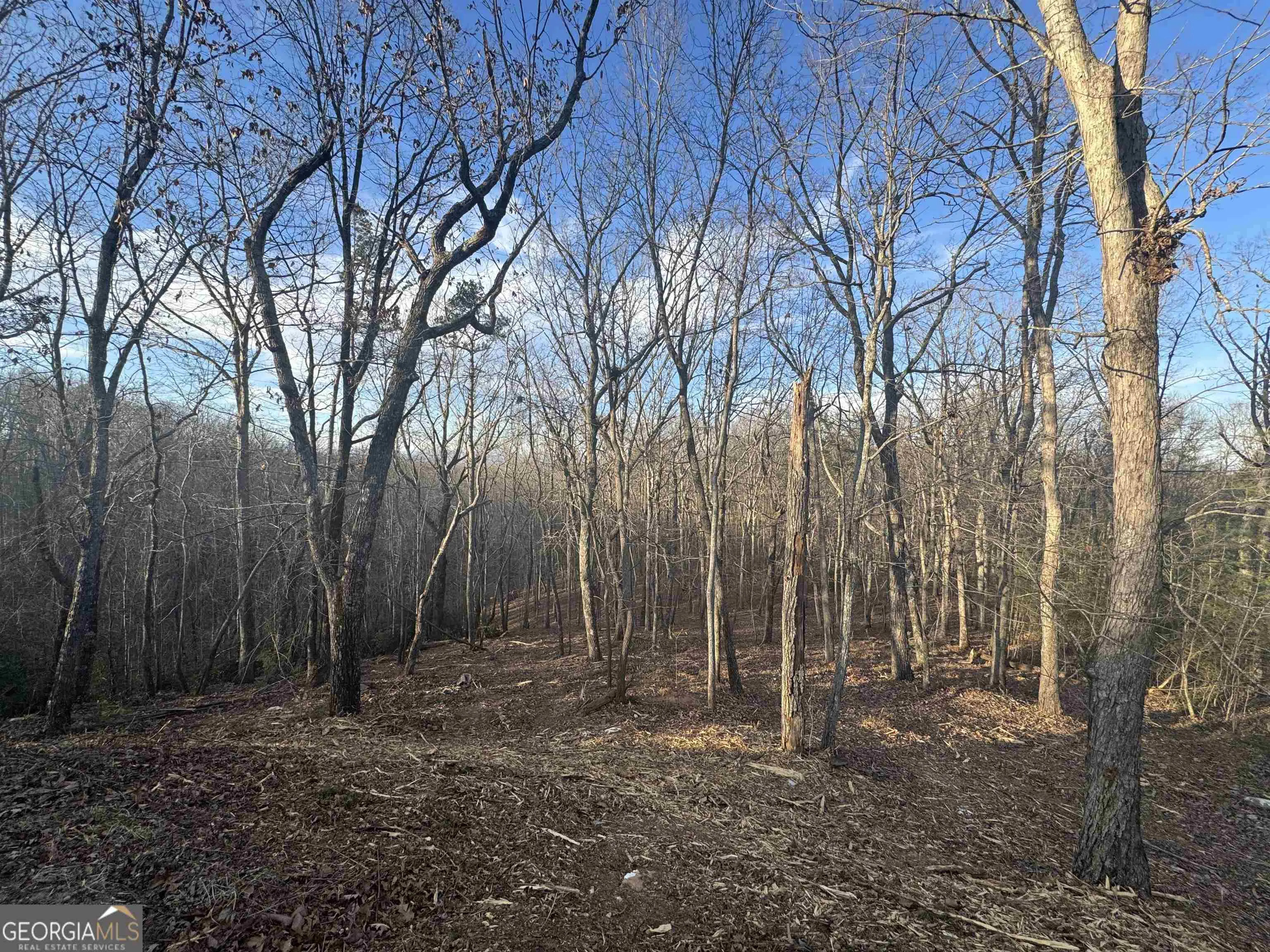 LOT 57 Teel Mtn Drive