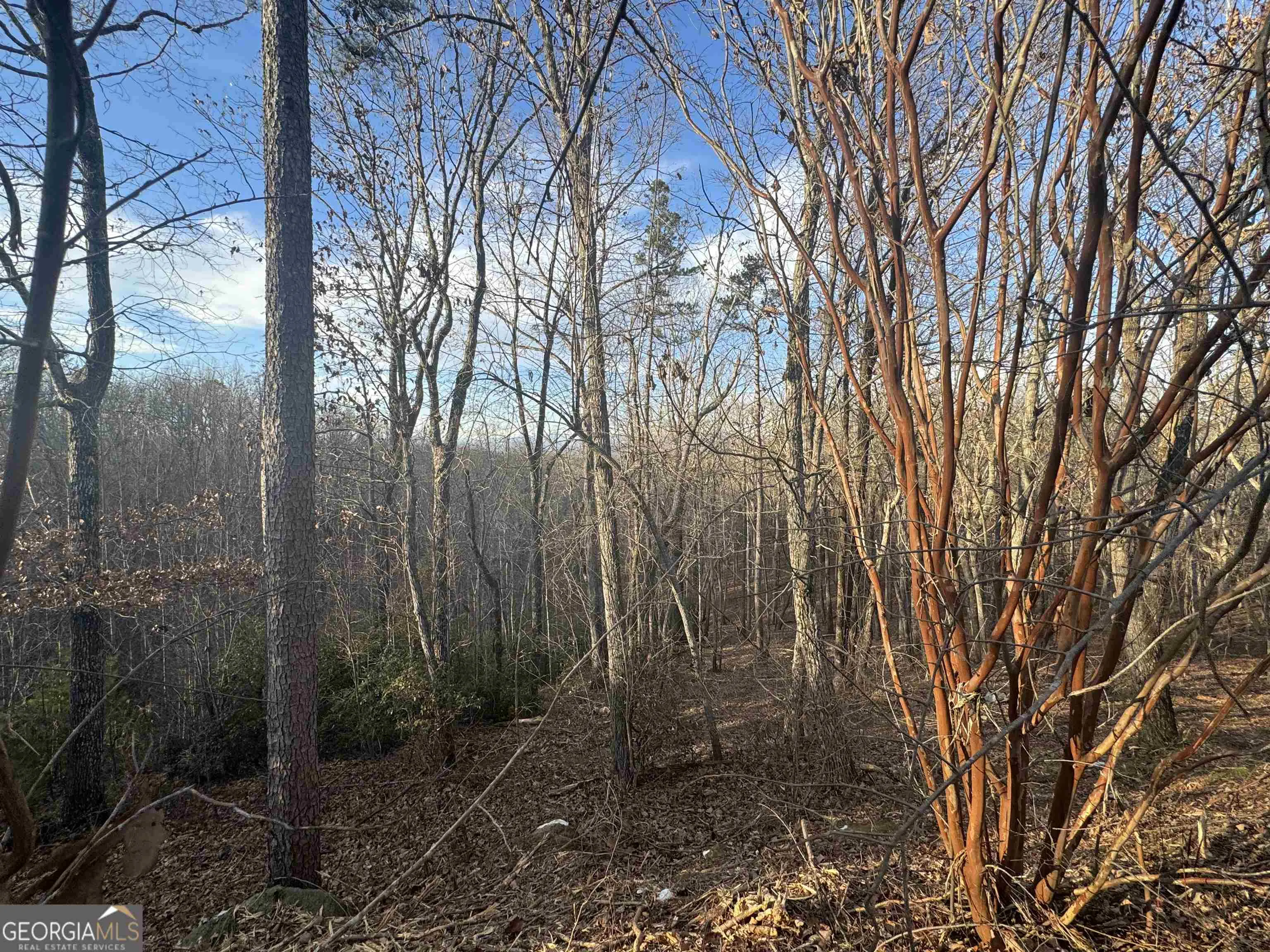 LOT 57 Teel Mtn Drive