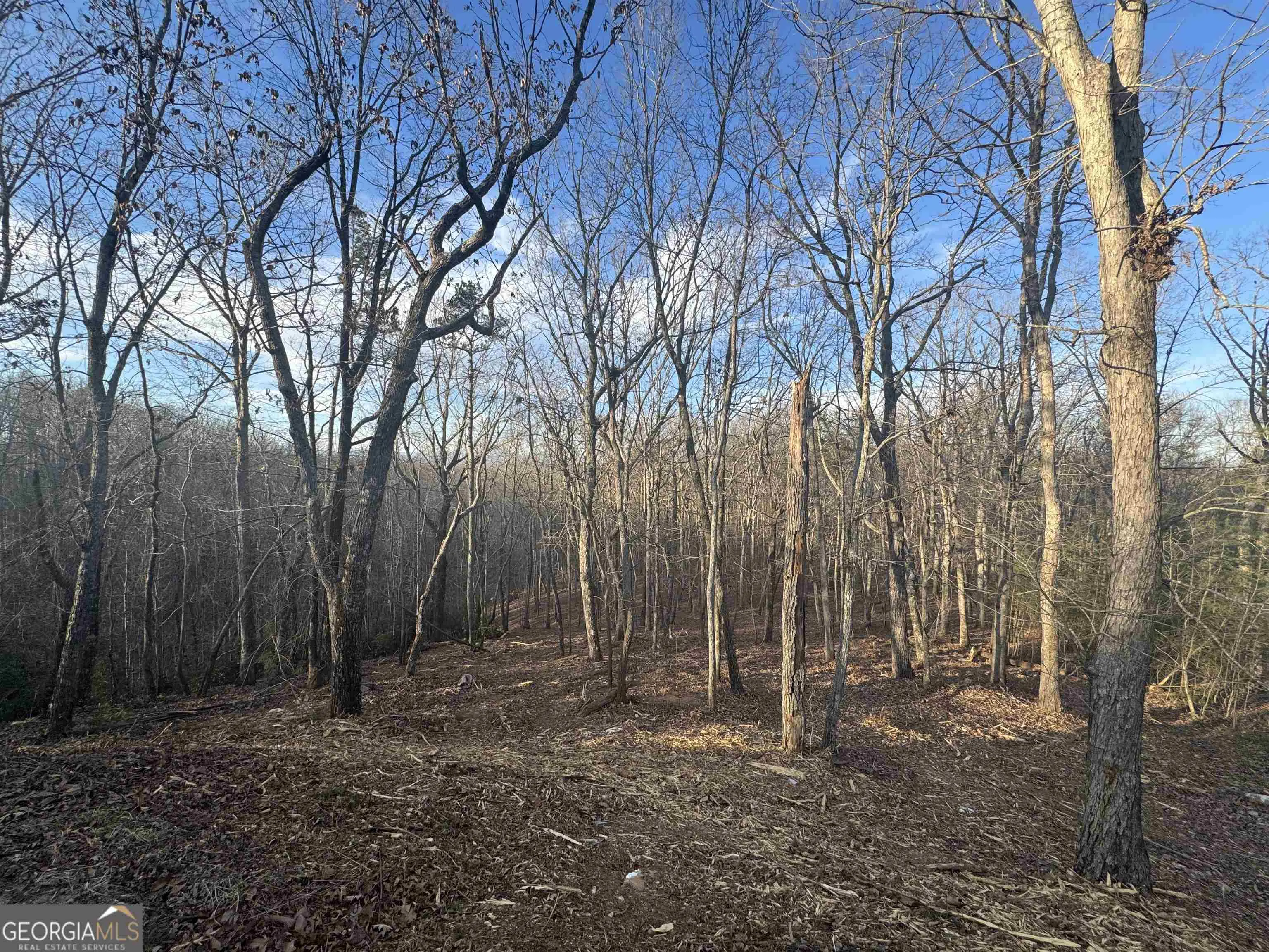 LOT 57 Teel Mtn Drive