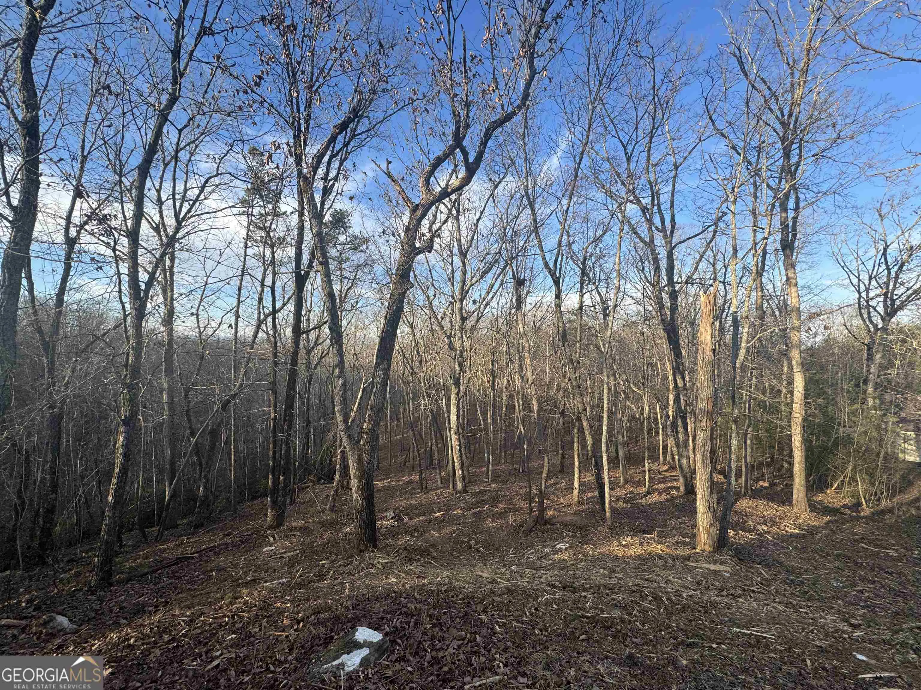 LOT 57 Teel Mtn Drive