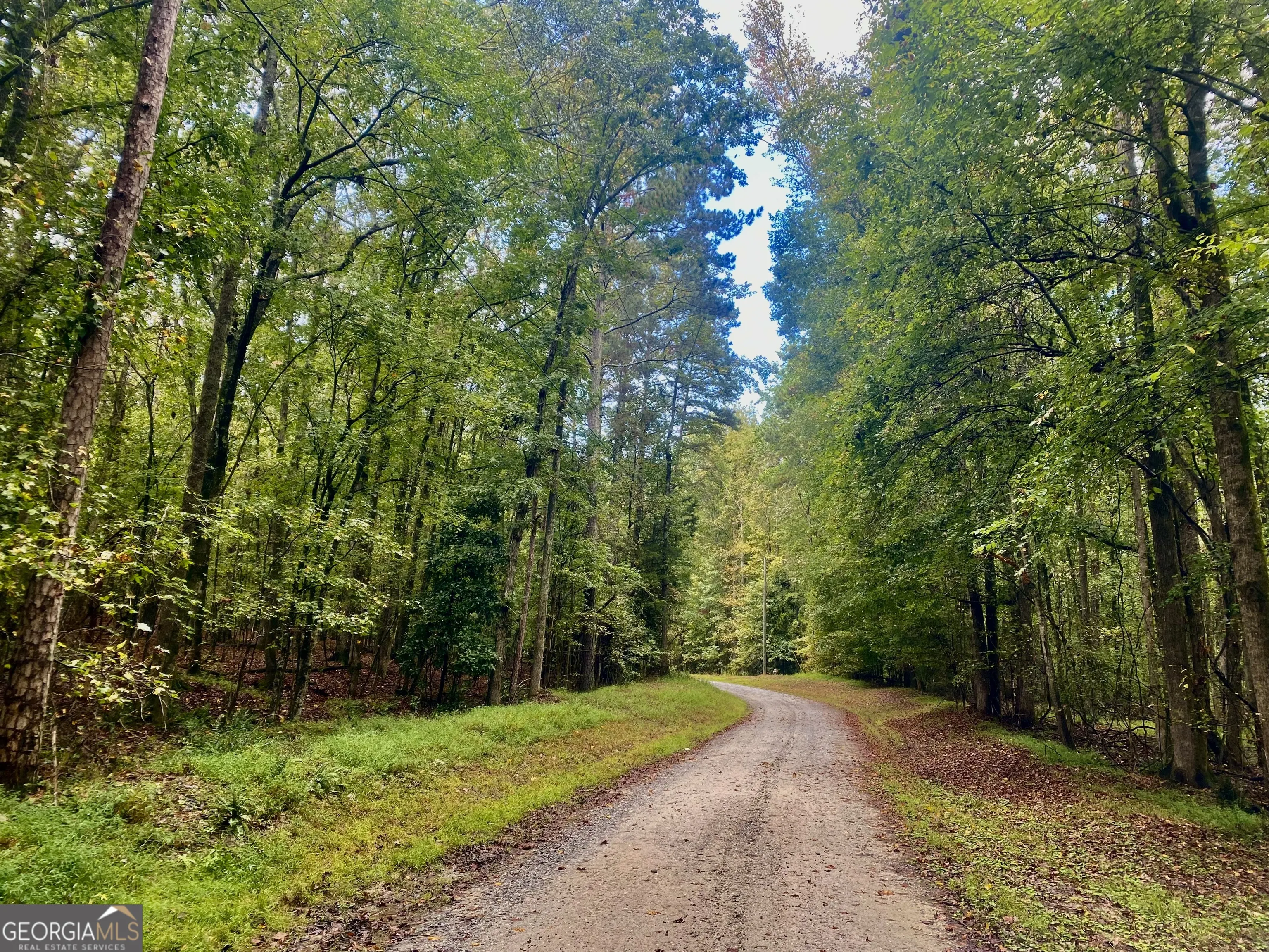 290 Poplar Creek Road