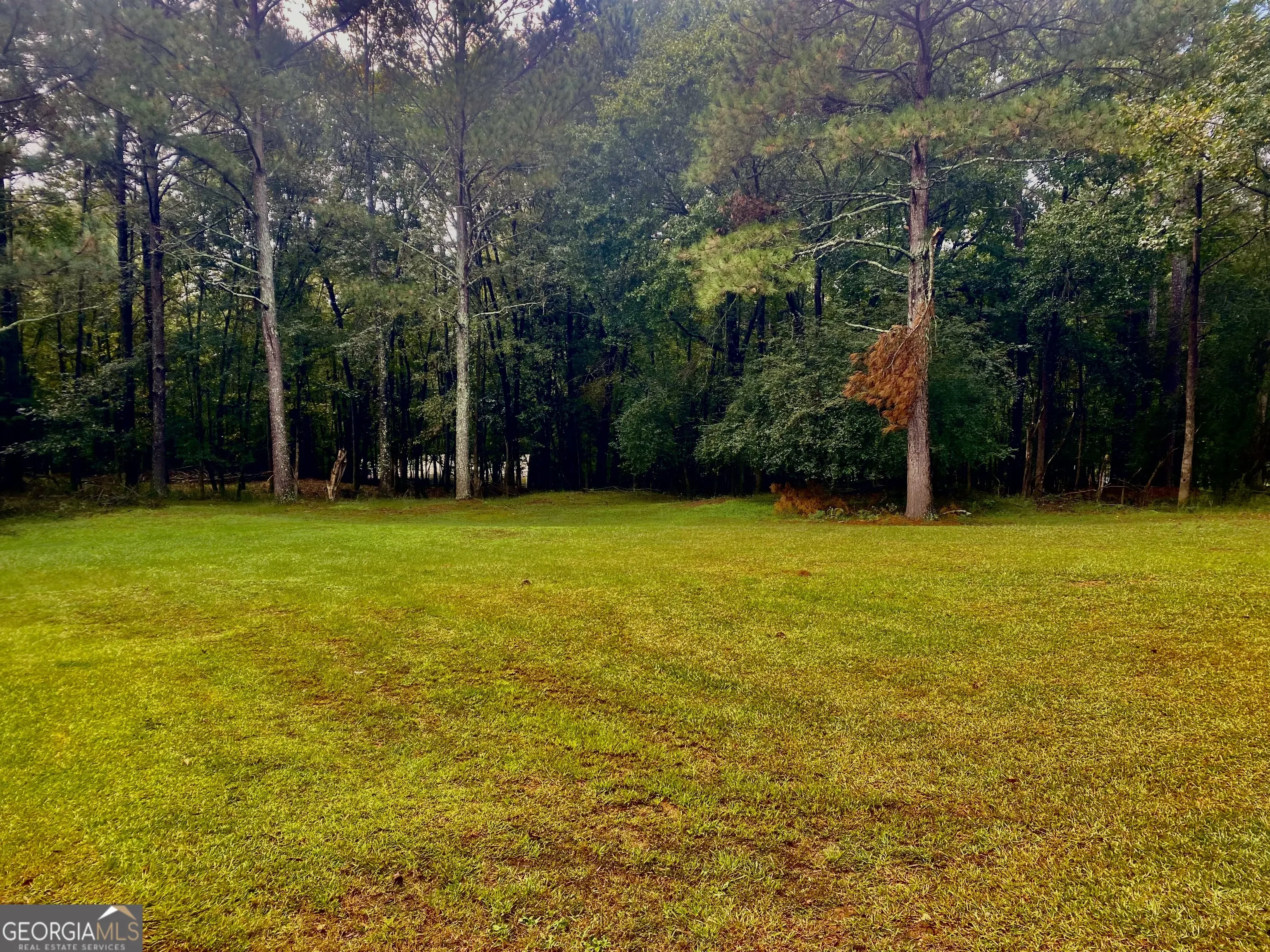 290 Poplar Creek Road