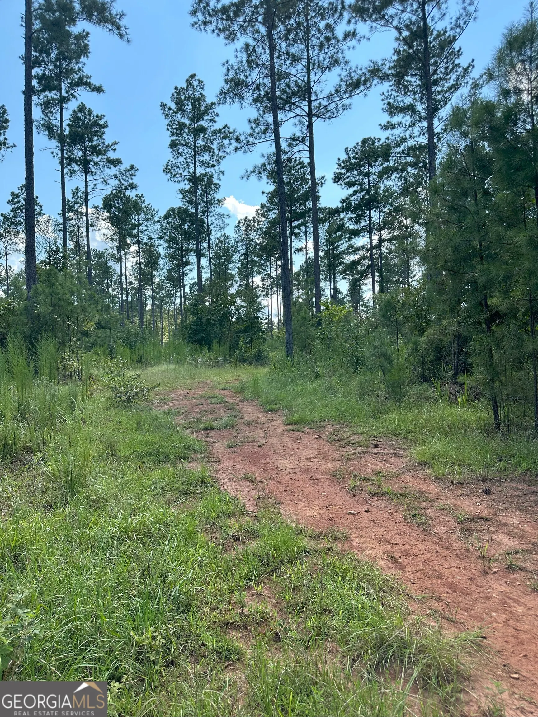2470 Fears Road