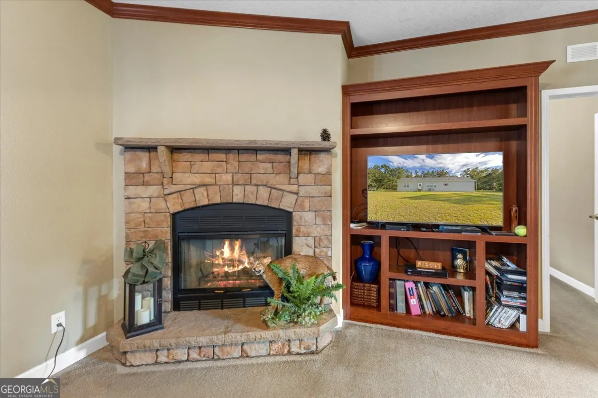 2273 Ga Highway 110