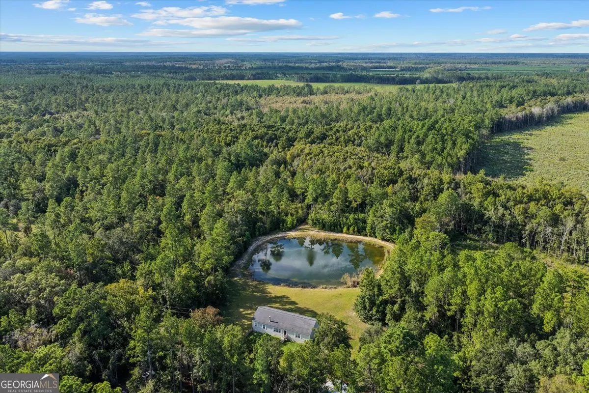 2273 Ga Highway 110