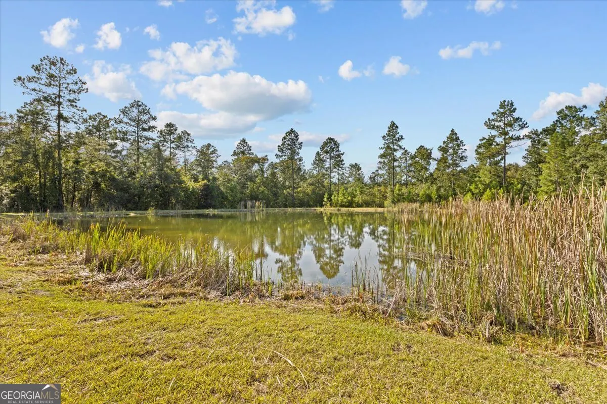 2273 Ga Highway 110