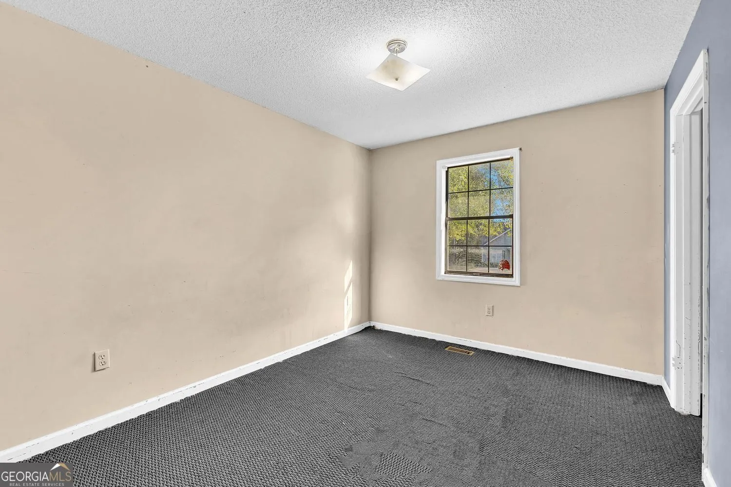 565 Lacebark Drive