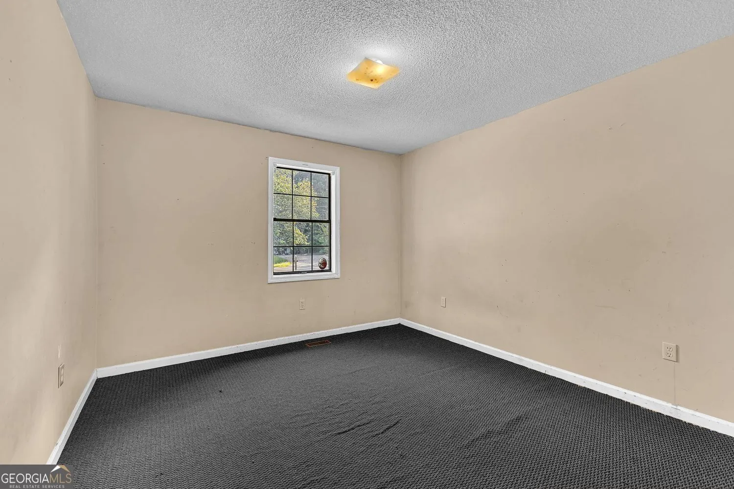 565 Lacebark Drive