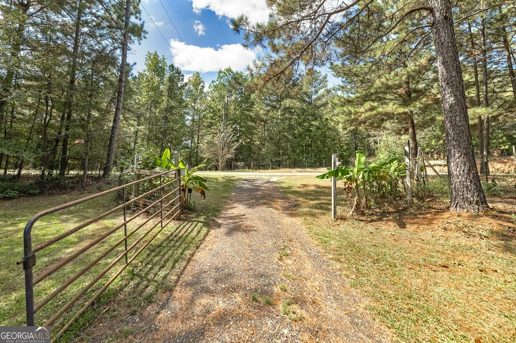 447 Grandview Road