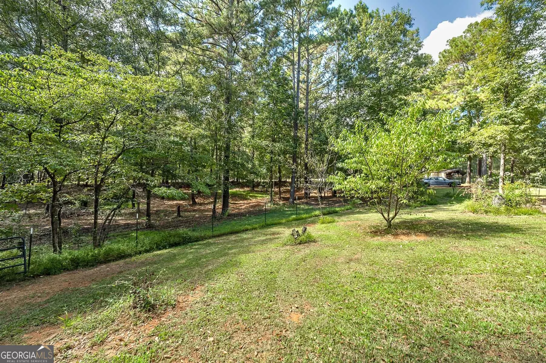 447 Grandview Road