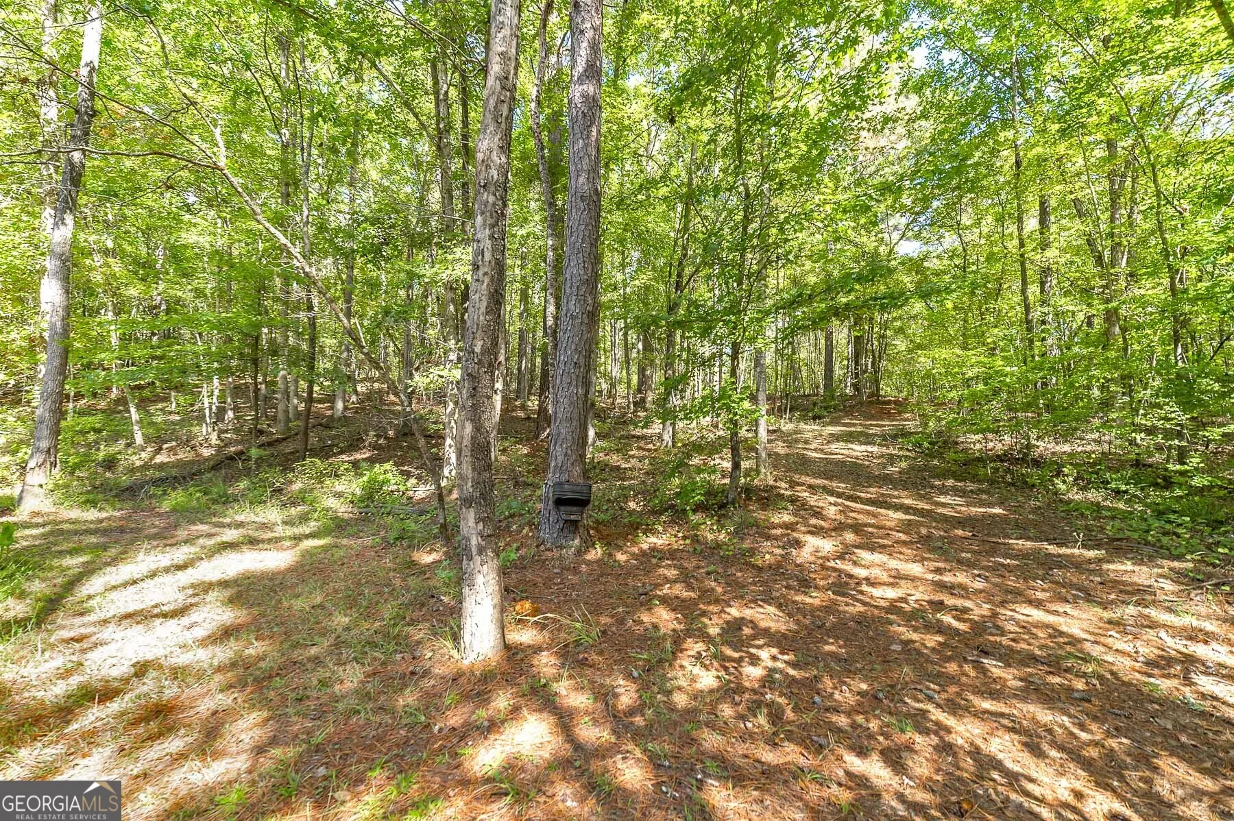 447 Grandview Road